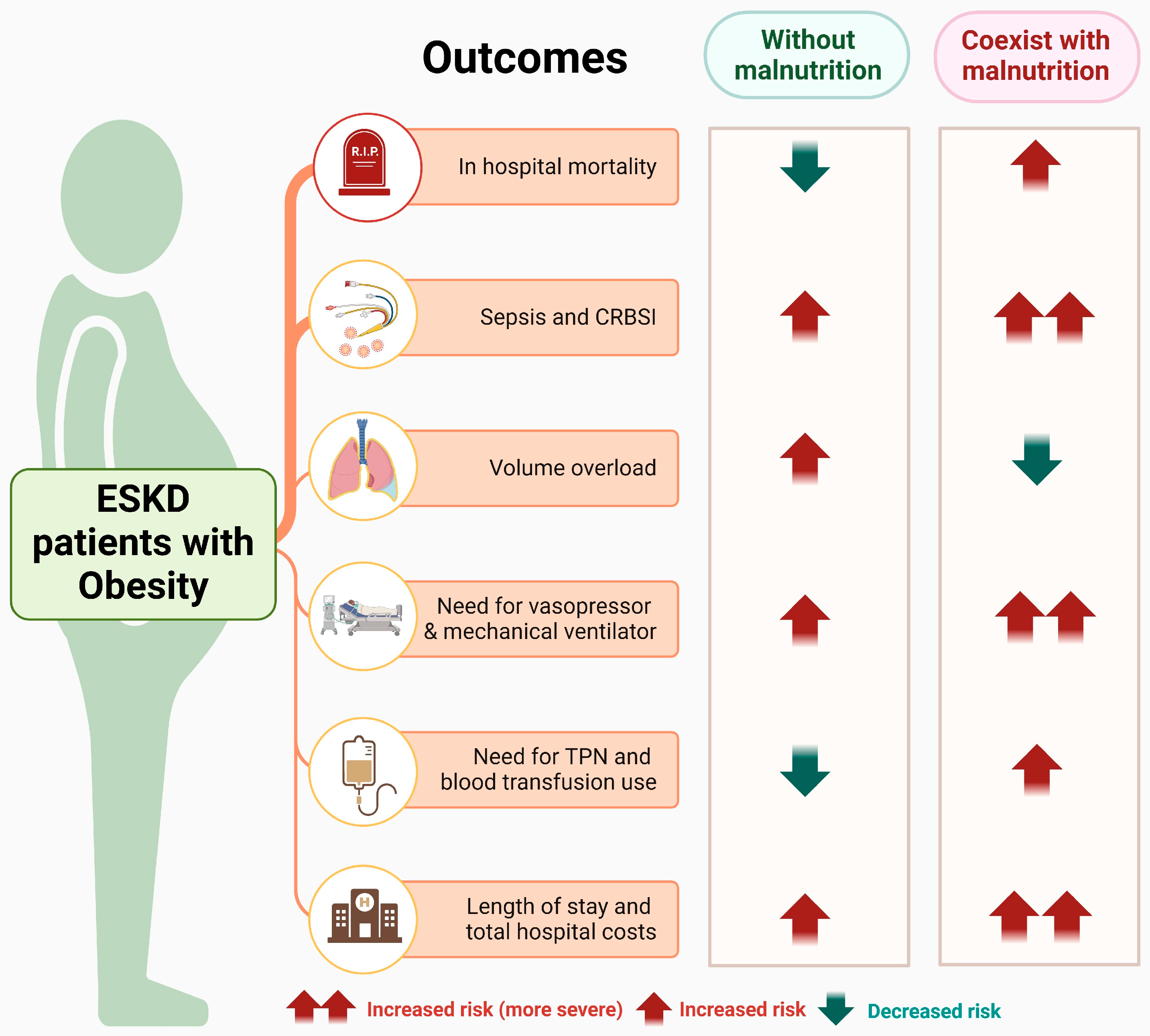Nutrients 18 00157 g002 Nutrients 18 00157 g002