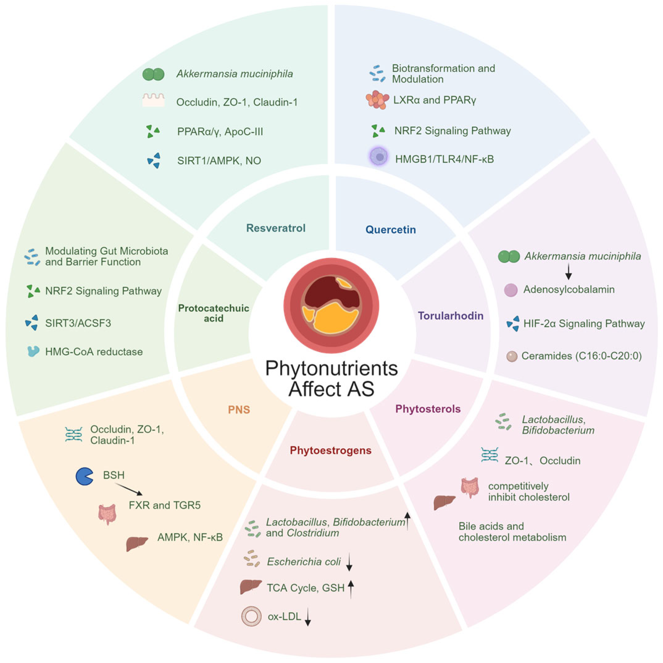 Nutrients 18 00188 g003