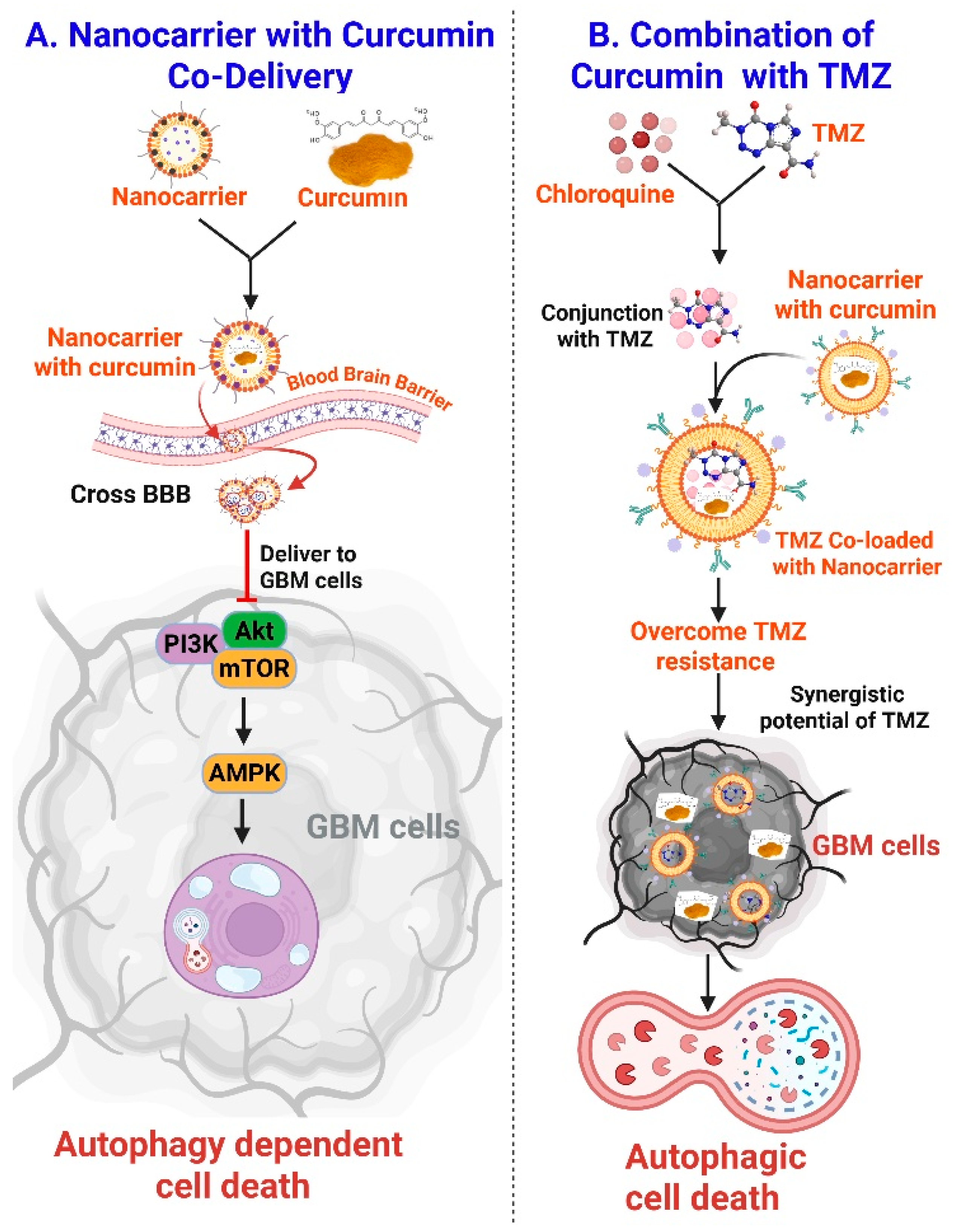 Nutrients 18 00194 g004