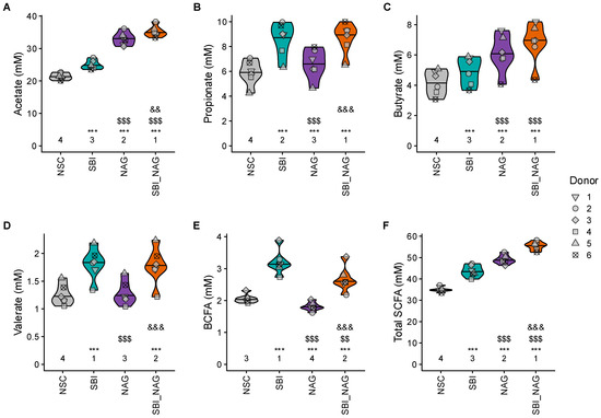 N-Acetylglucosamine and Immunoglobulin Strengthen Gut Barrier