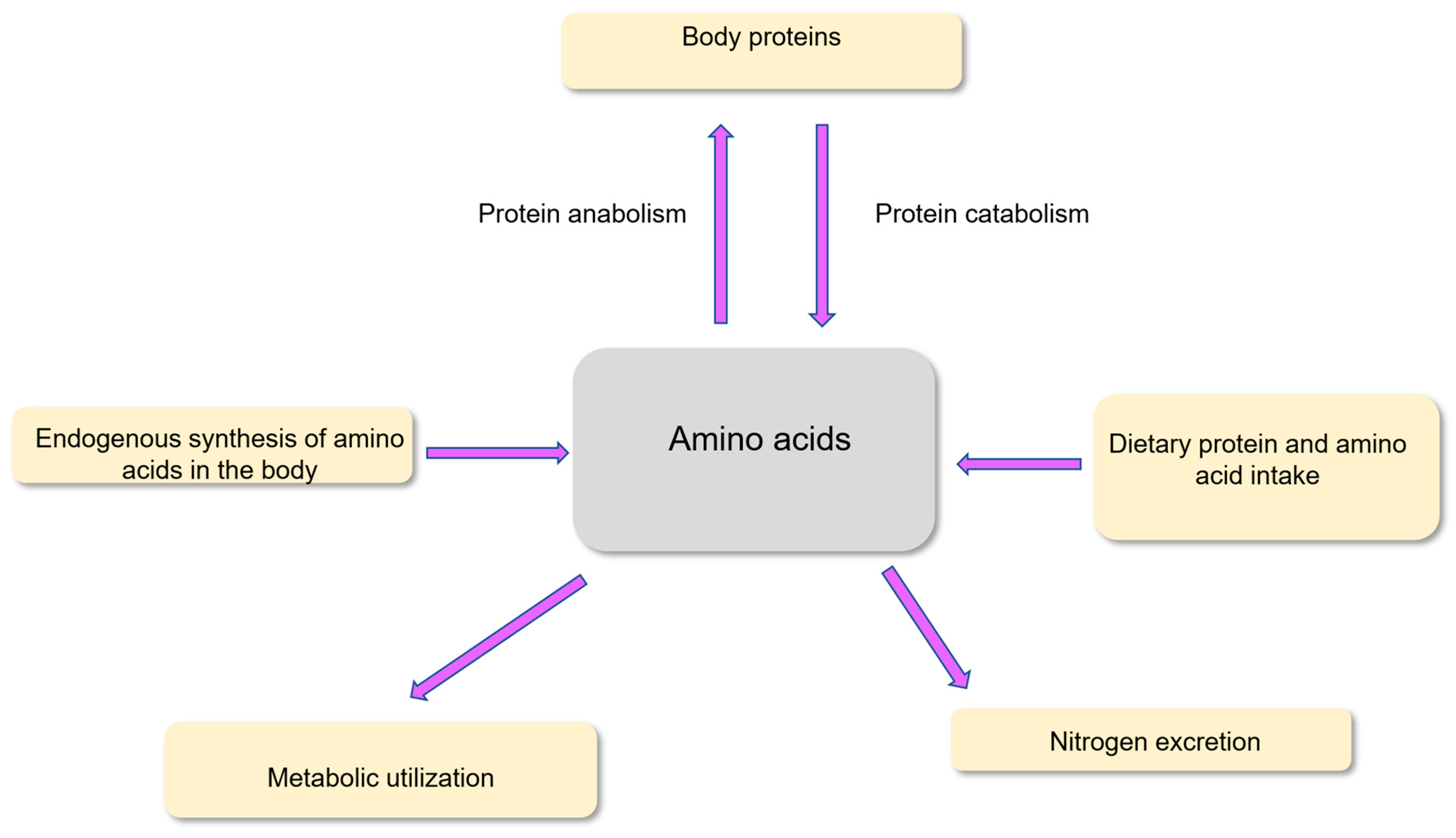 Nutrients 18 00296 g002