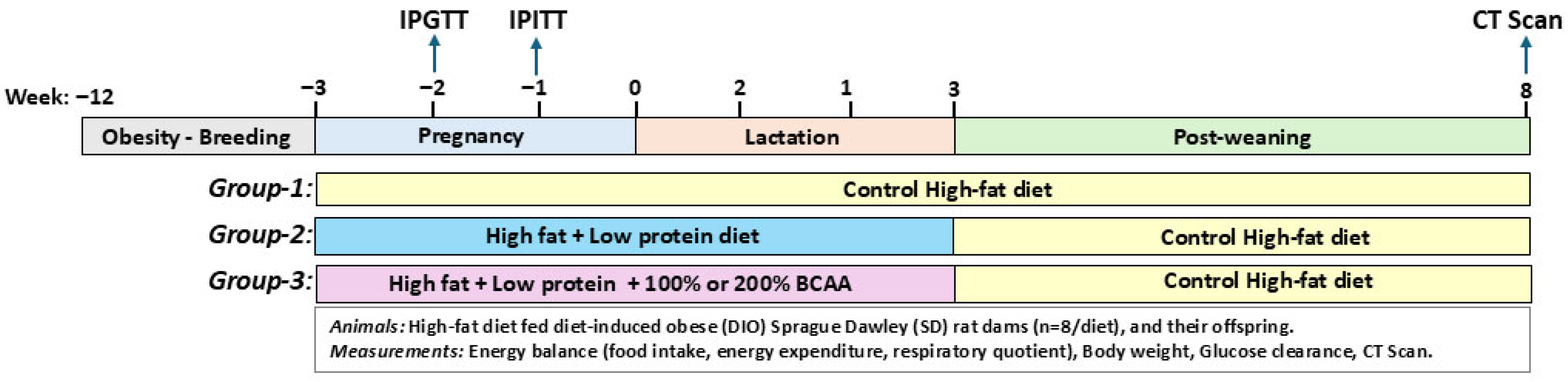 Nutrients 18 00322 g001