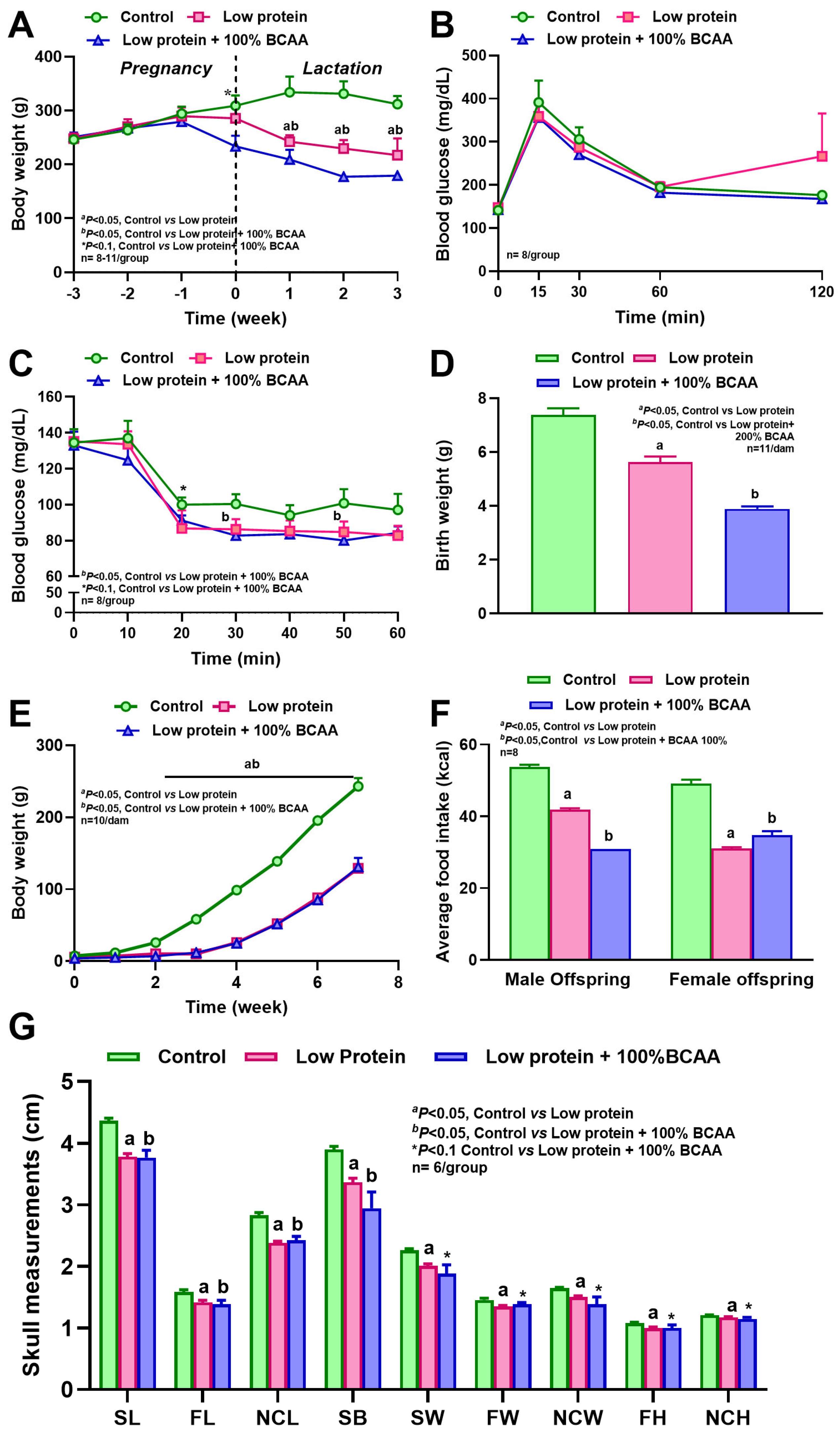 Nutrients 18 00322 g004