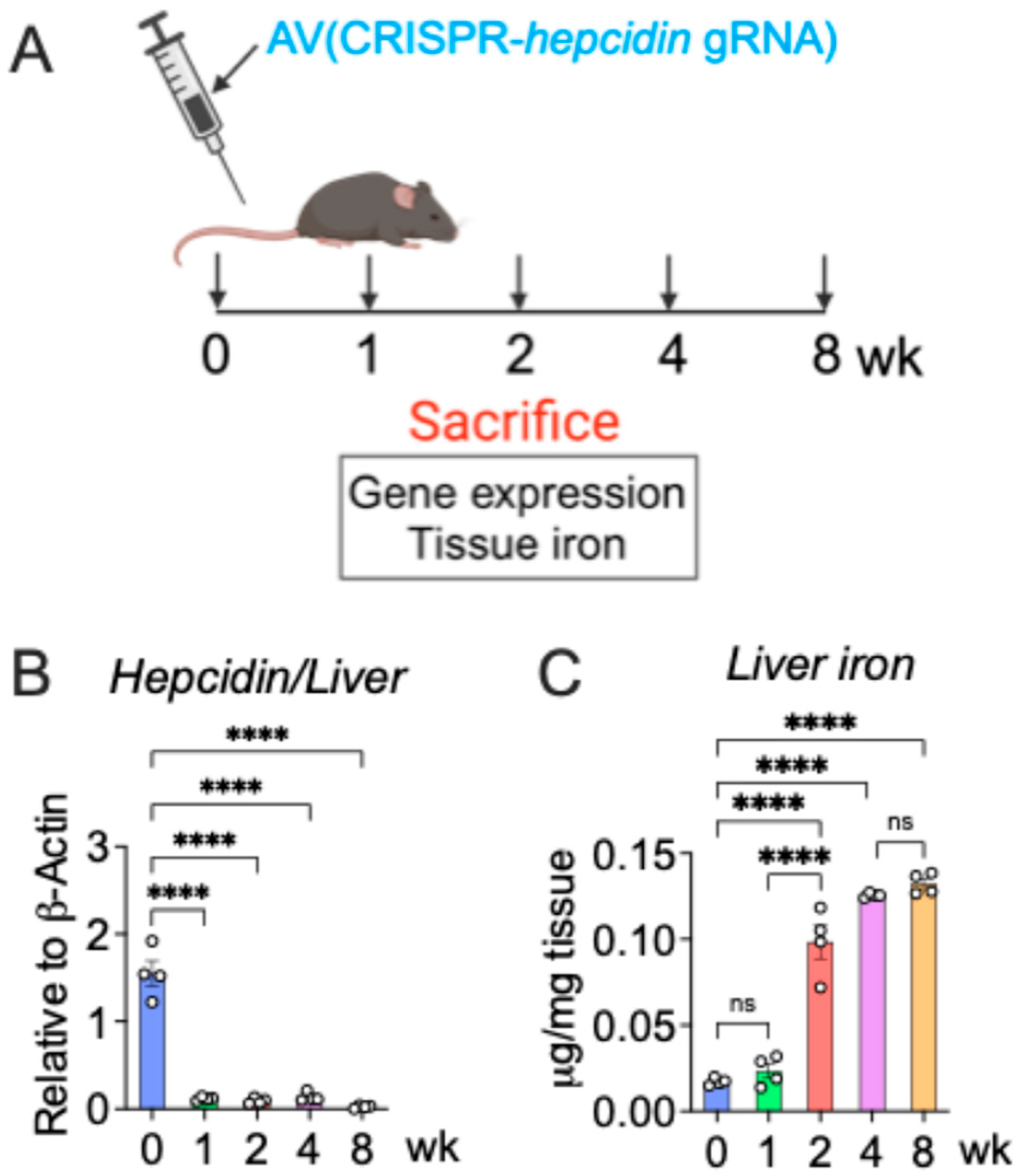 Nutrients 18 00352 g002