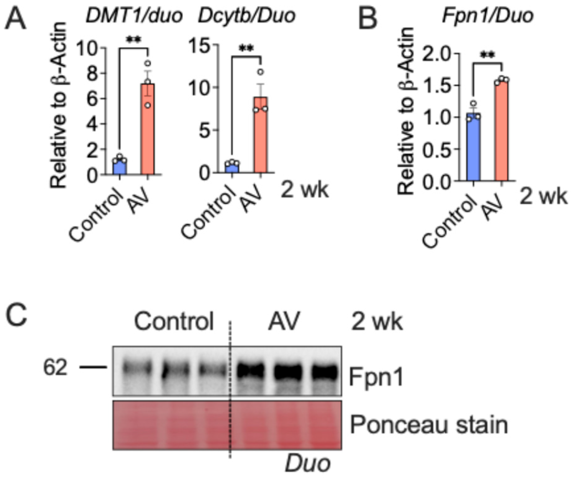 Nutrients 18 00352 g003
