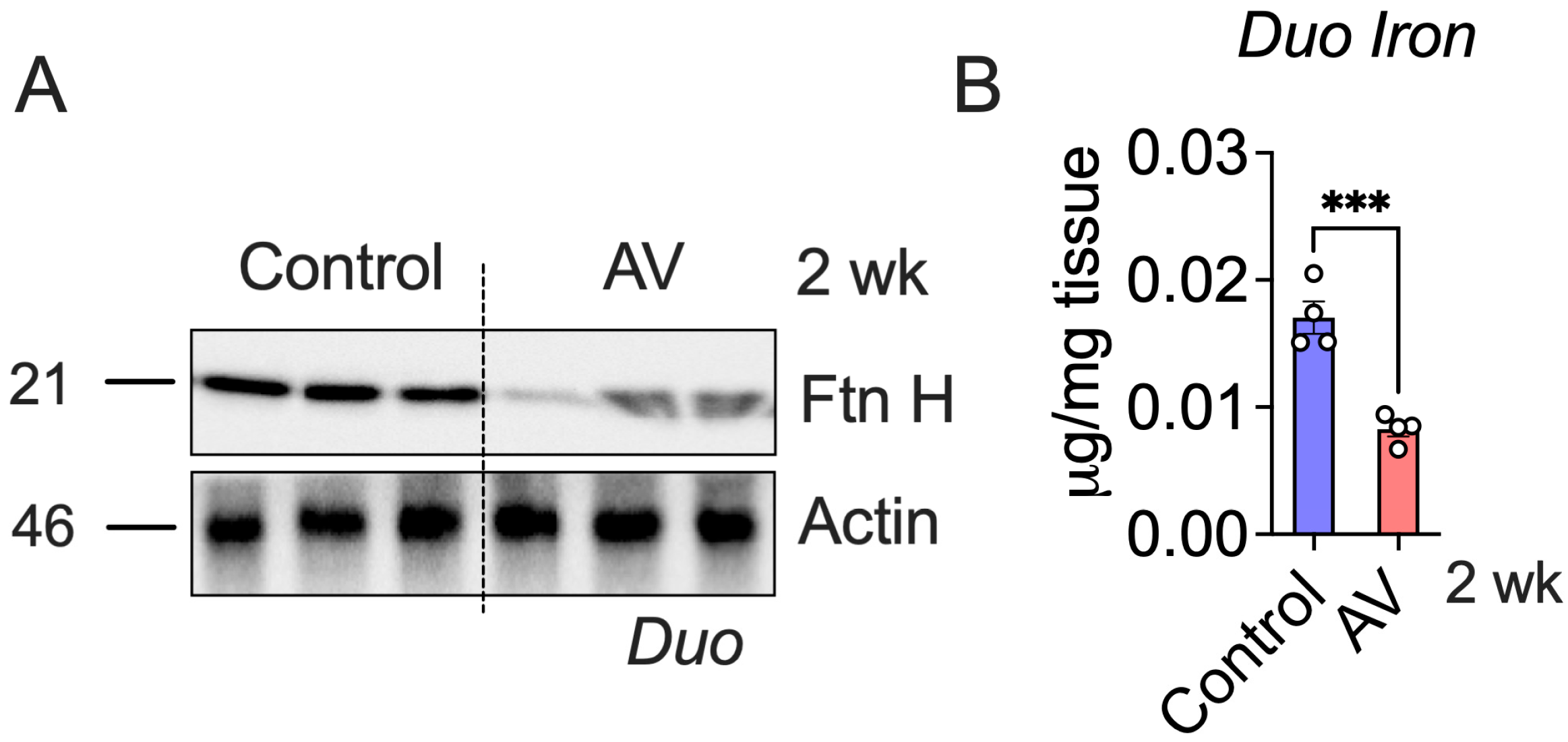 Nutrients 18 00352 g004