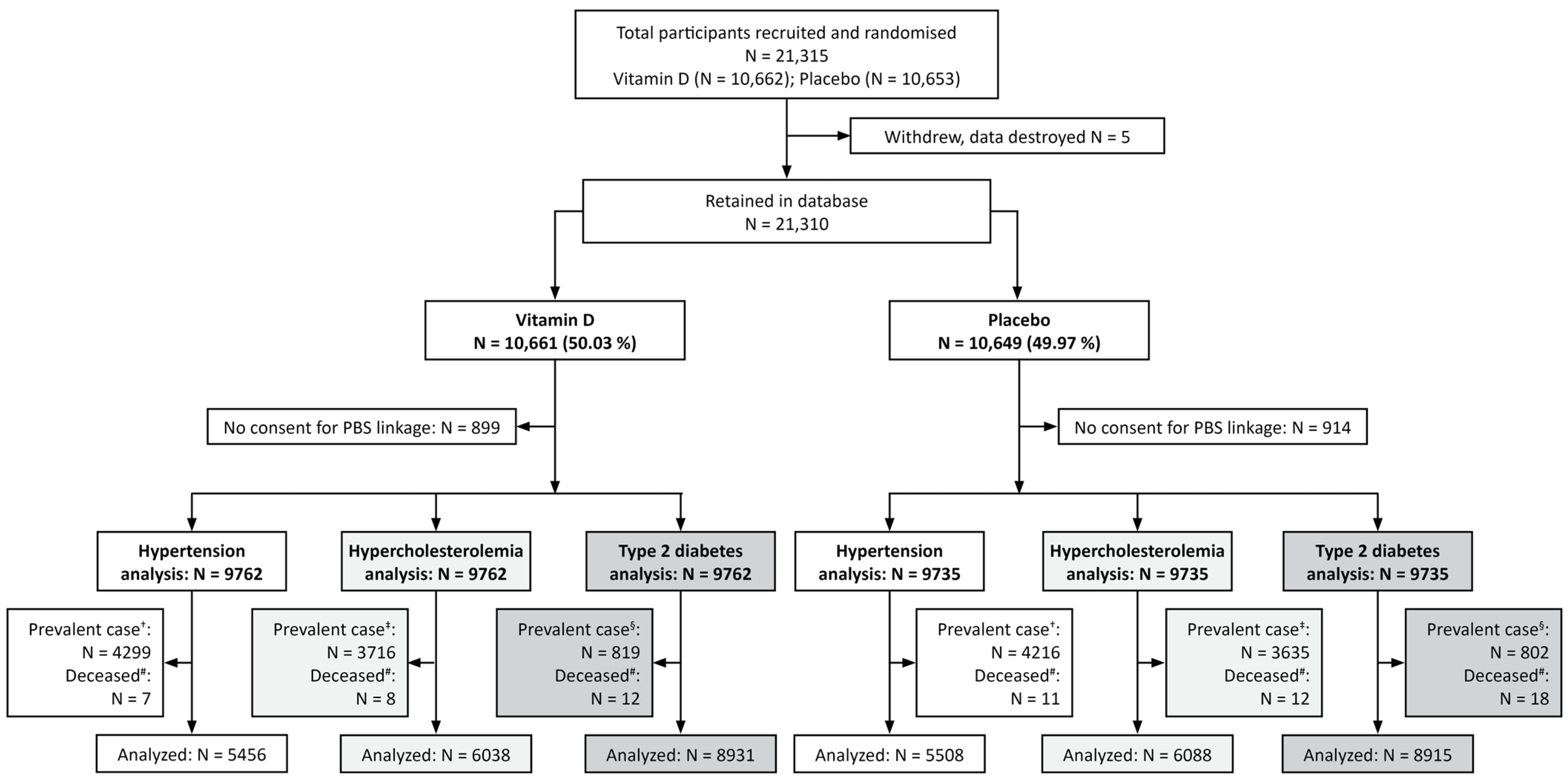 Nutrients 18 00357 g001