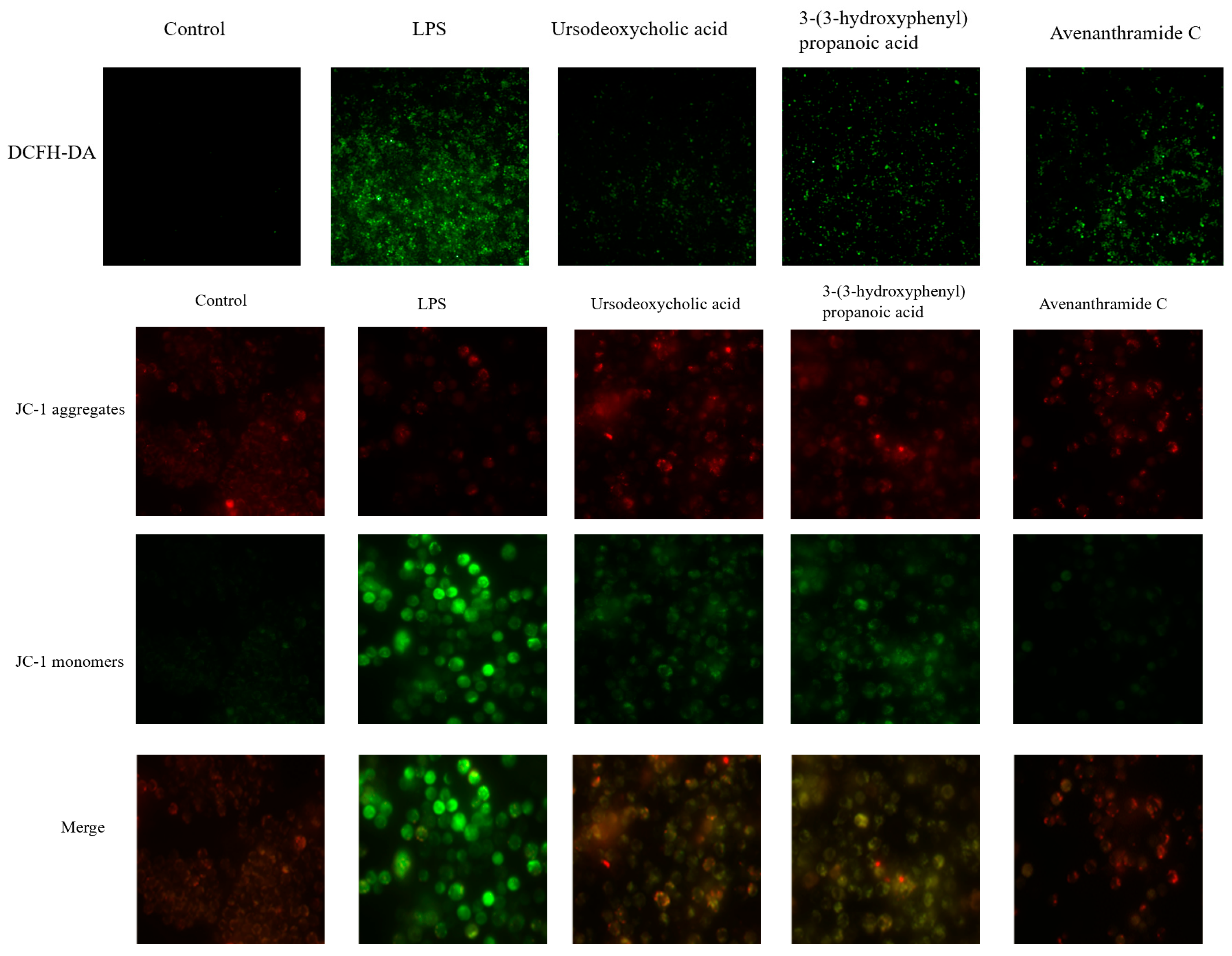 Nutrients 18 00358 g002