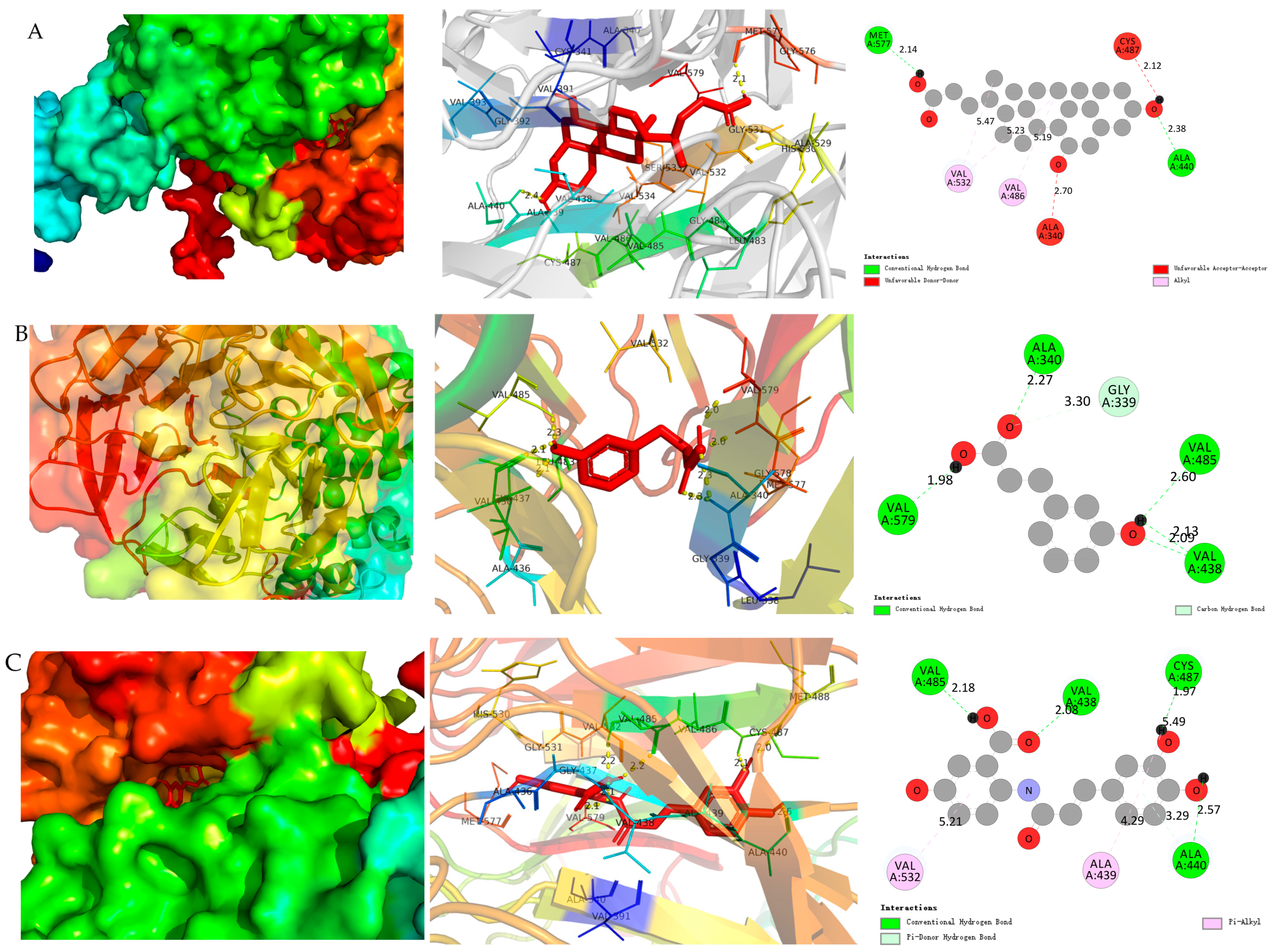 Nutrients 18 00358 g007