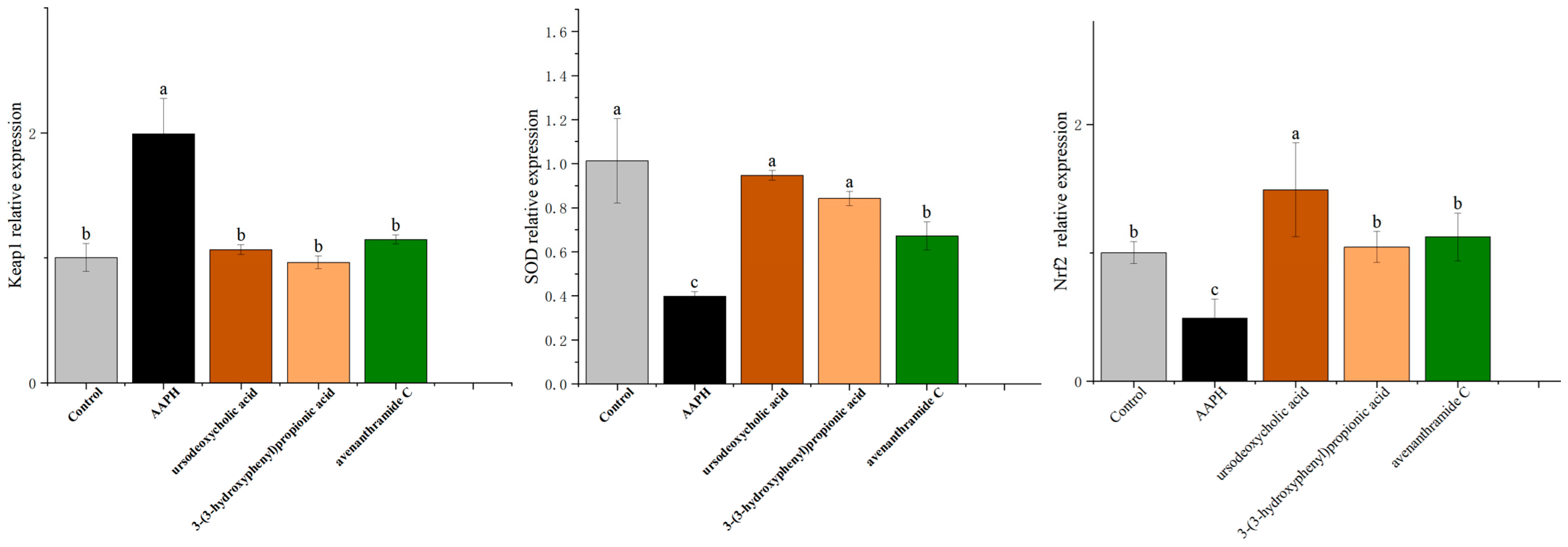 Nutrients 18 00358 g008