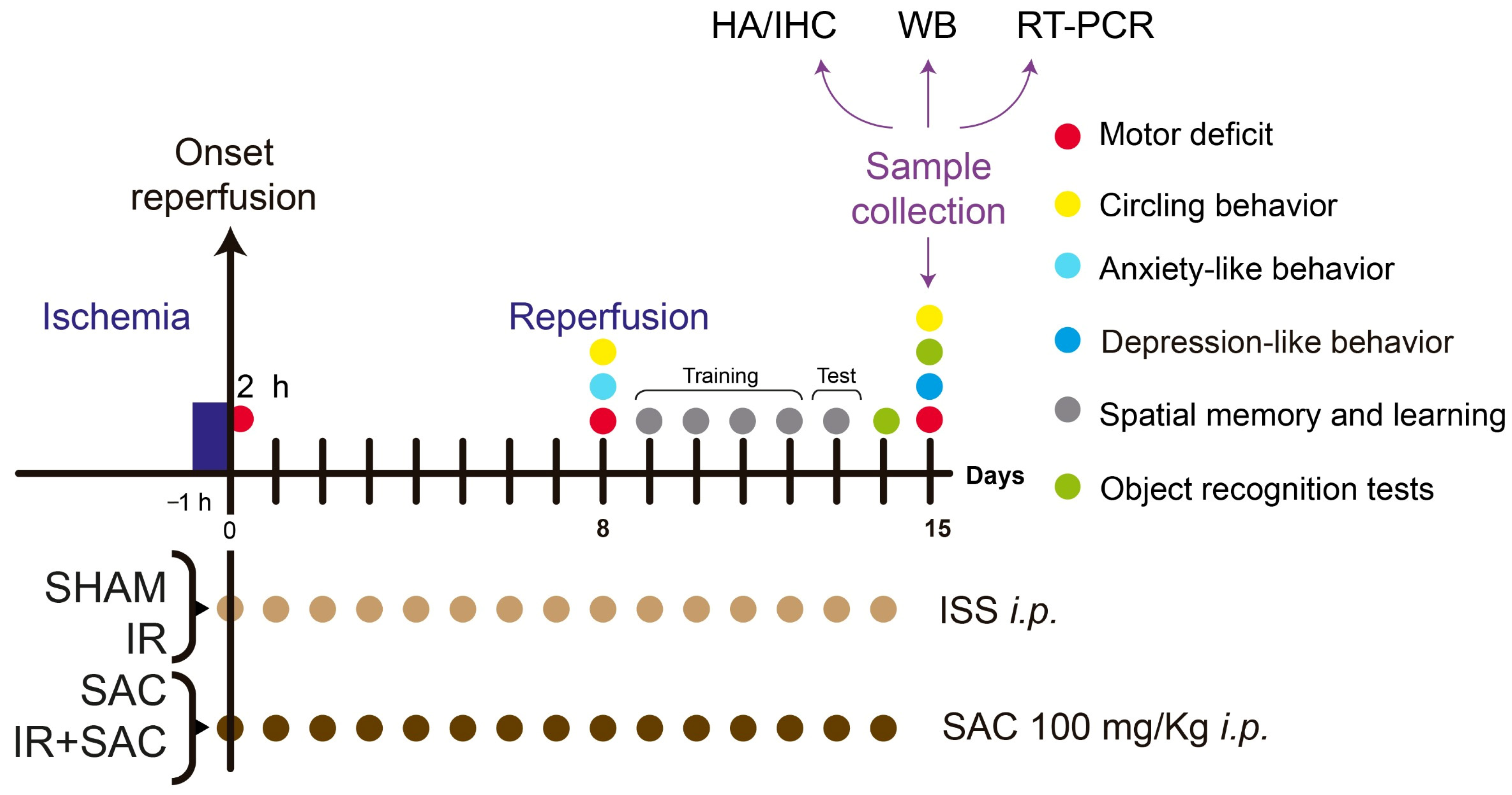 Nutrients 18 00362 g001