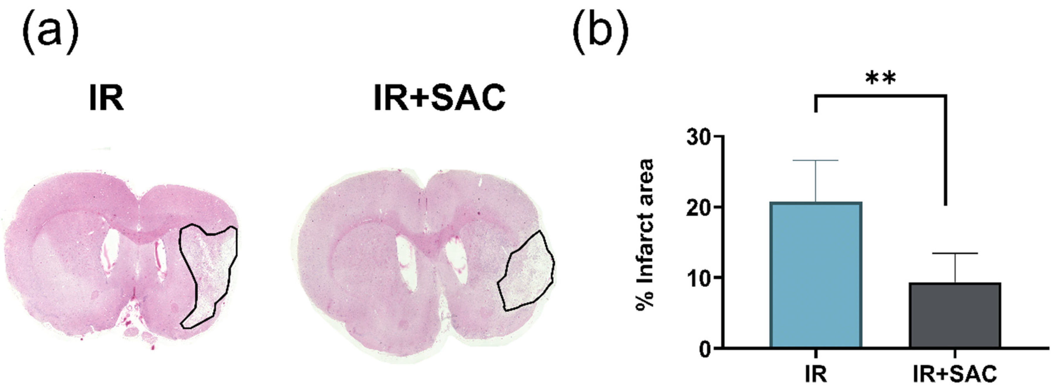 Nutrients 18 00362 g004