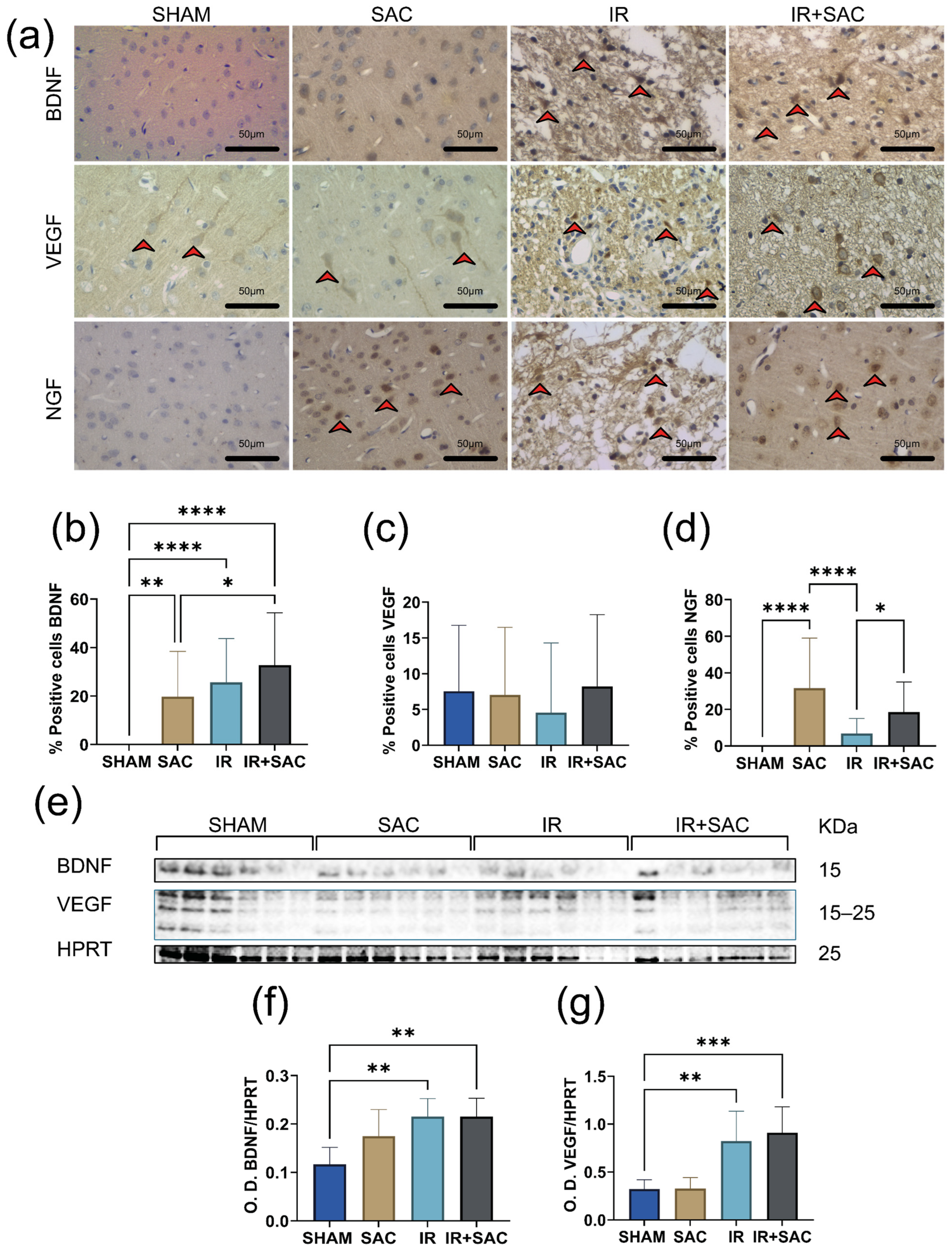 Nutrients 18 00362 g006