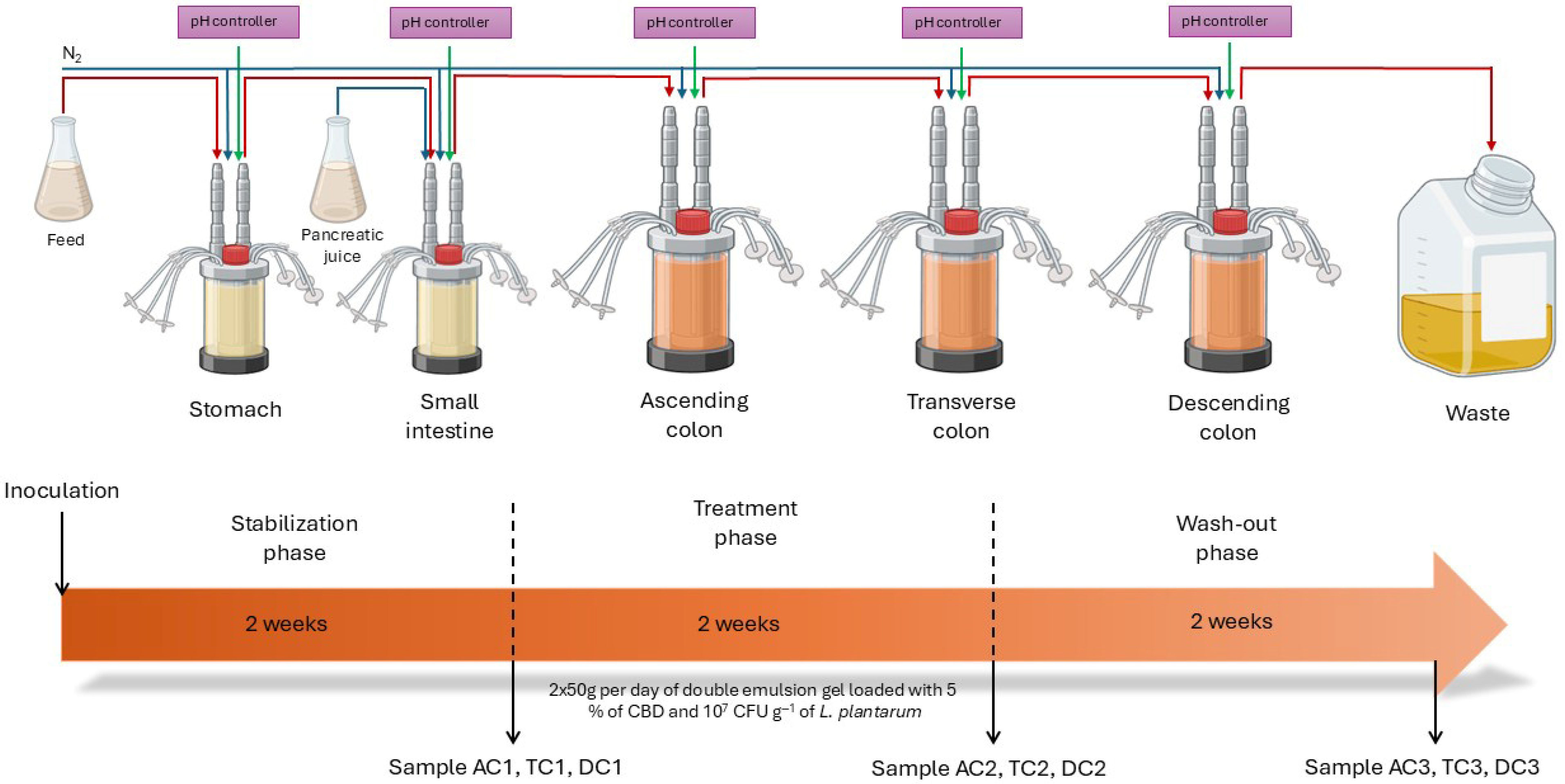 Nutrients 18 00367 g001 Nutrients 18 00367 g001