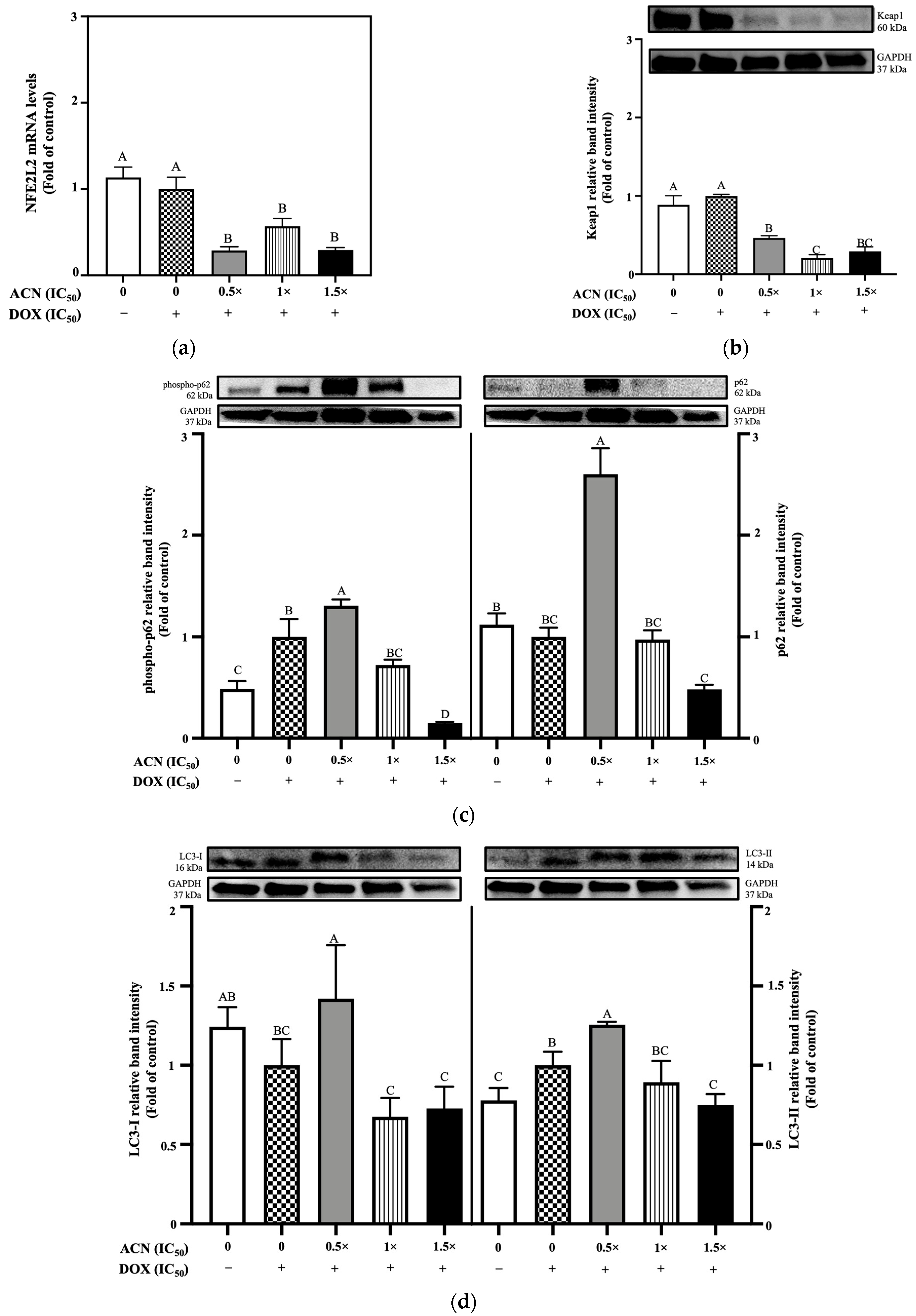 Nutrients 18 00384 g005