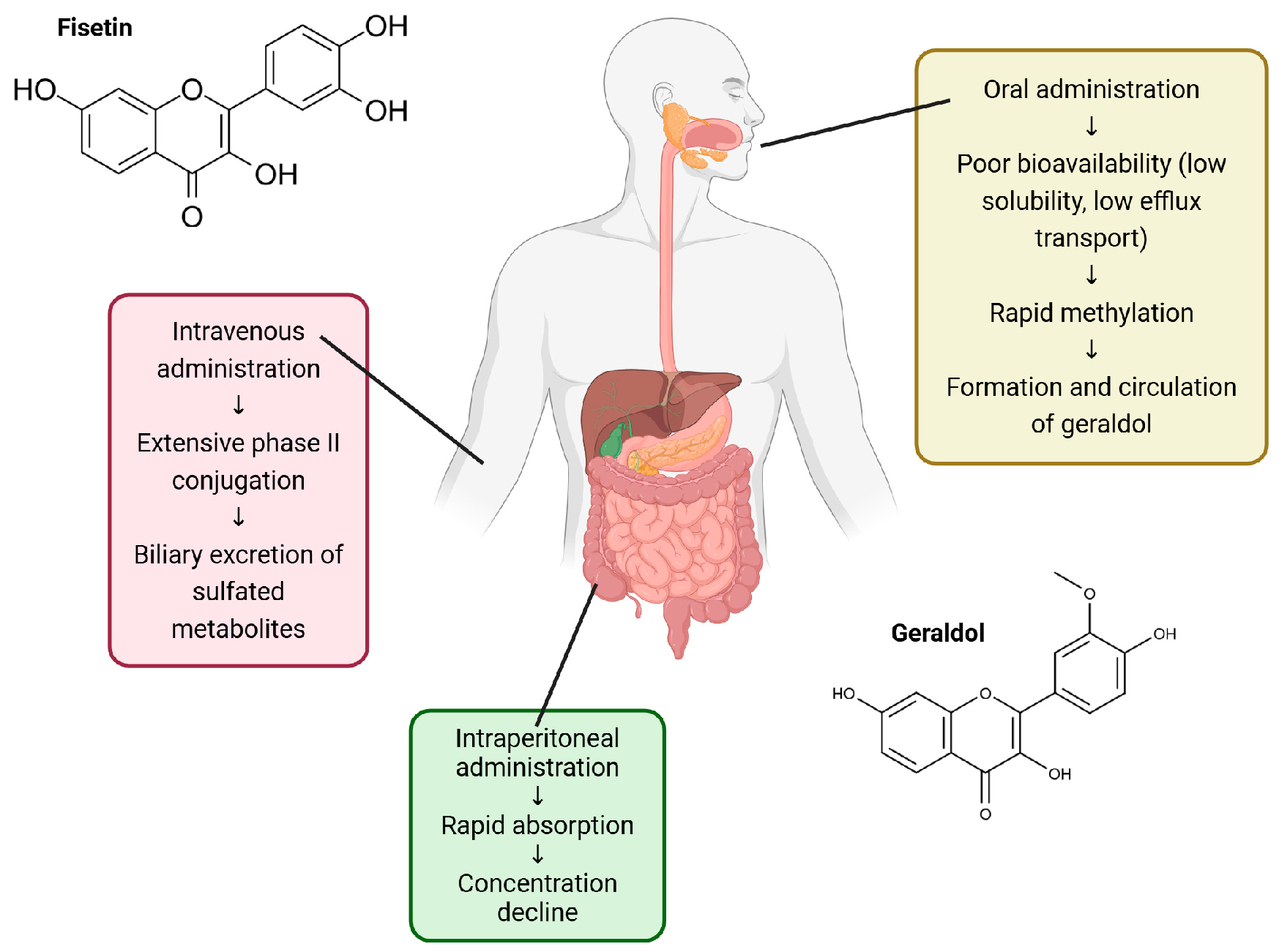 Nutrients 18 00393 g002