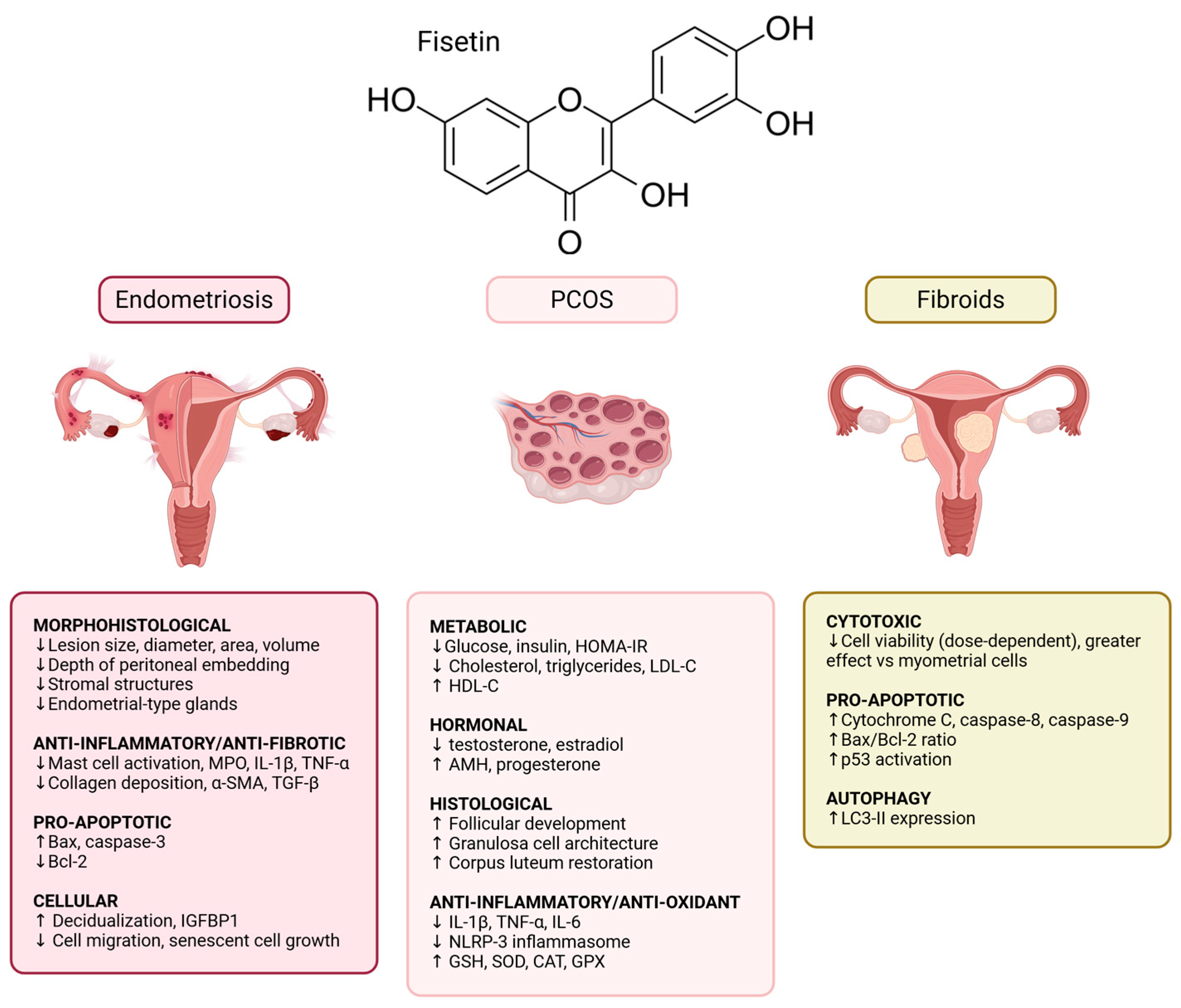 Nutrients 18 00393 g005