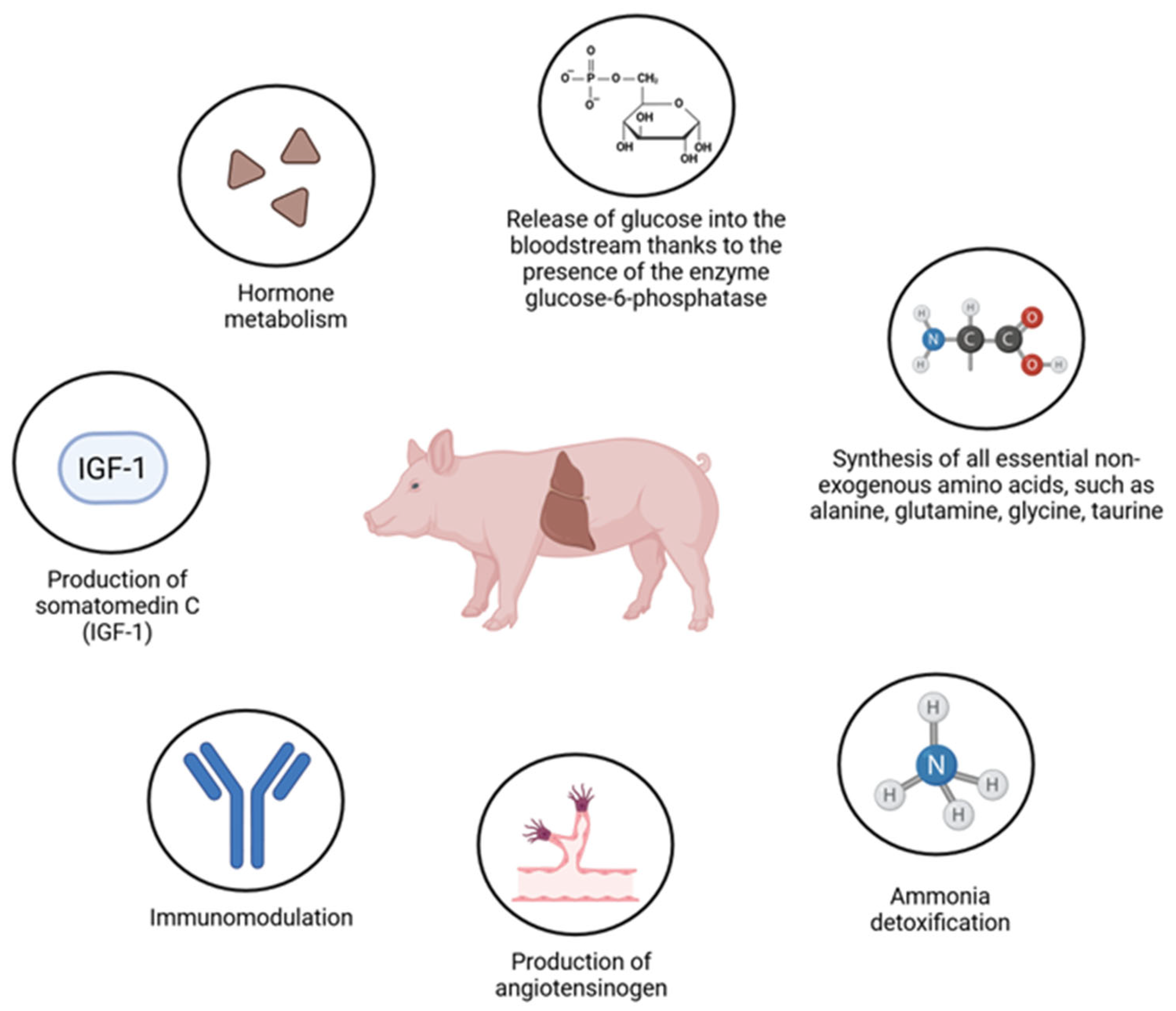 Nutrients 18 00408 g001