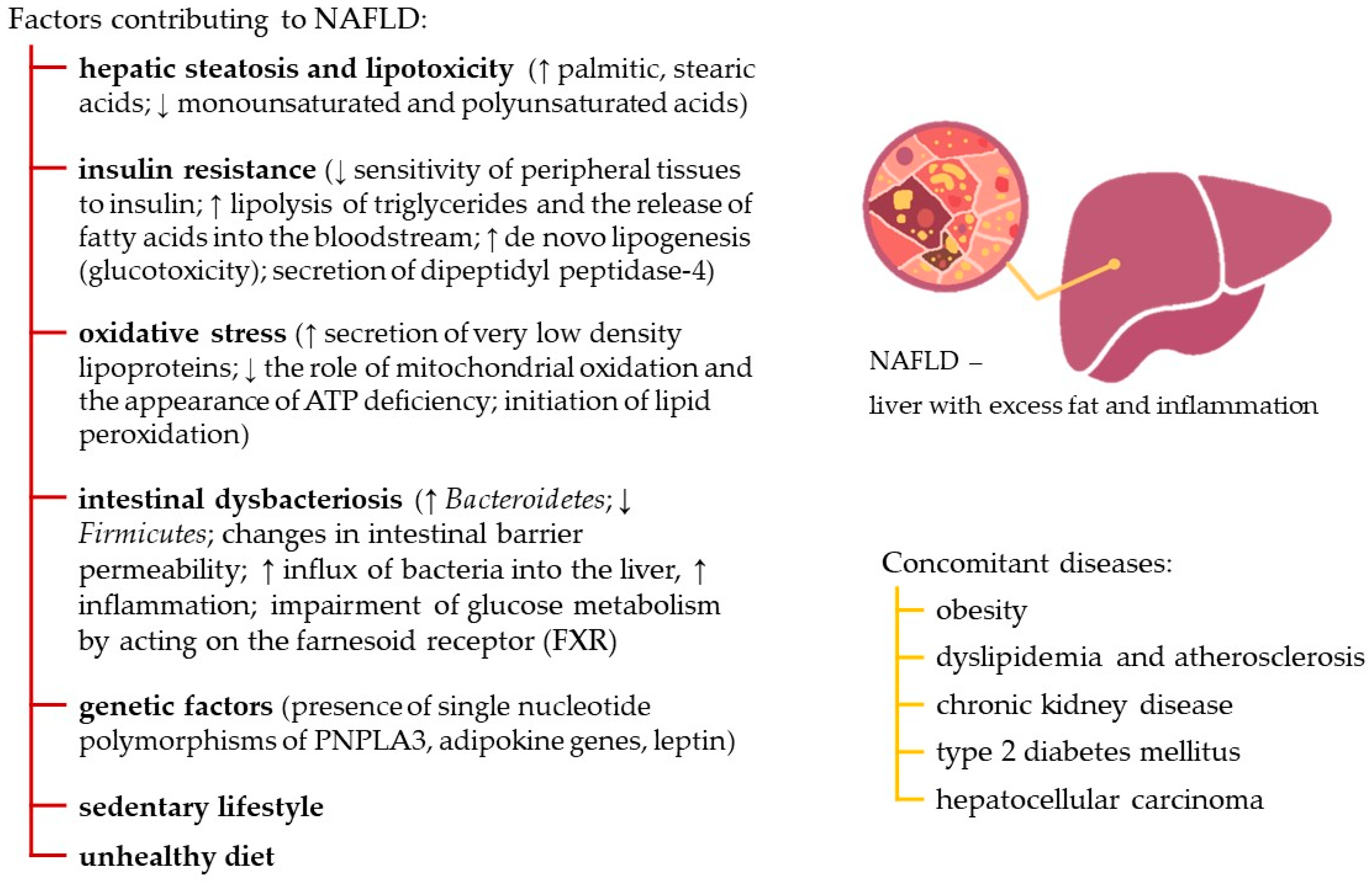 Nutrients 18 00418 g001