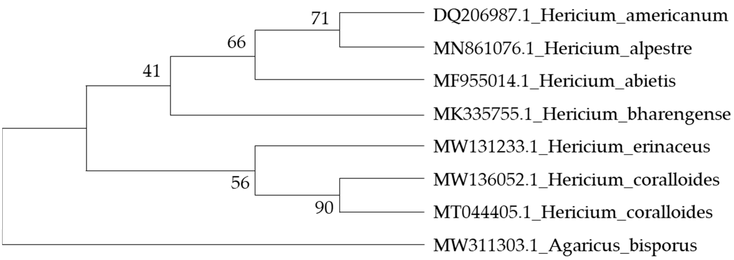 Nutrients 18 00418 g004