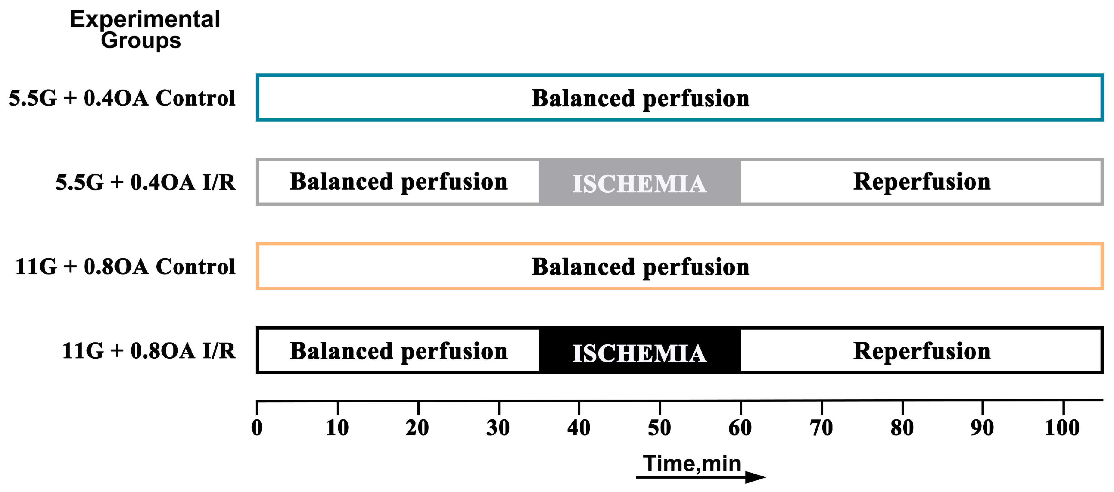 Nutrients 18 00425 g001