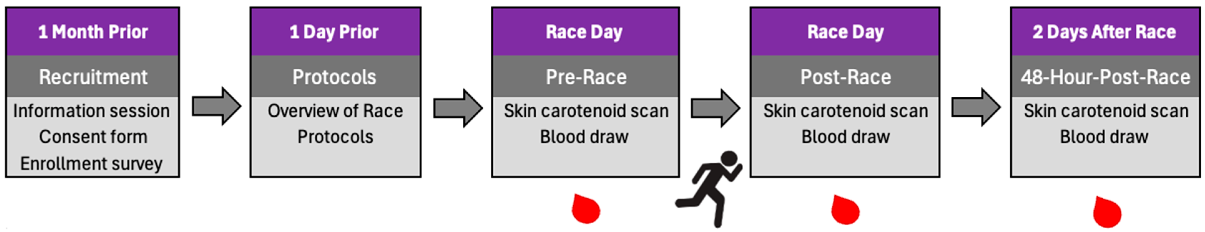 Nutrients 18 00437 g001