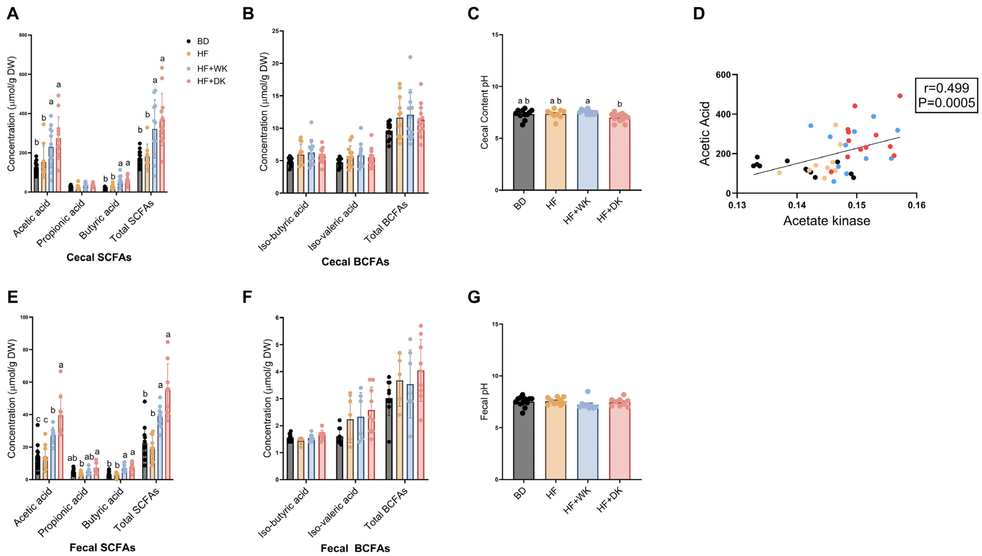 Nutrients 18 00461 g006