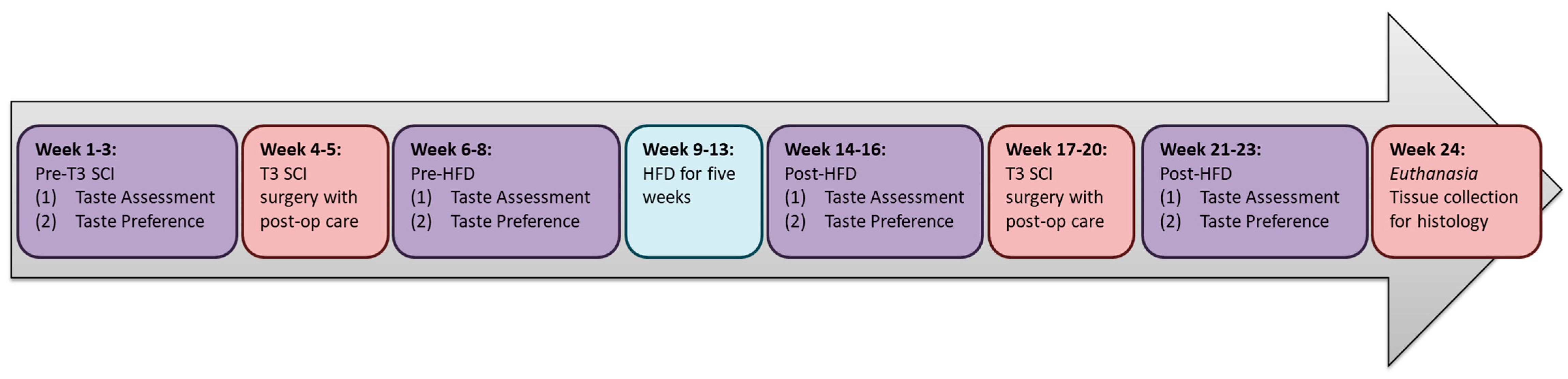 Nutrients 18 00503 g001