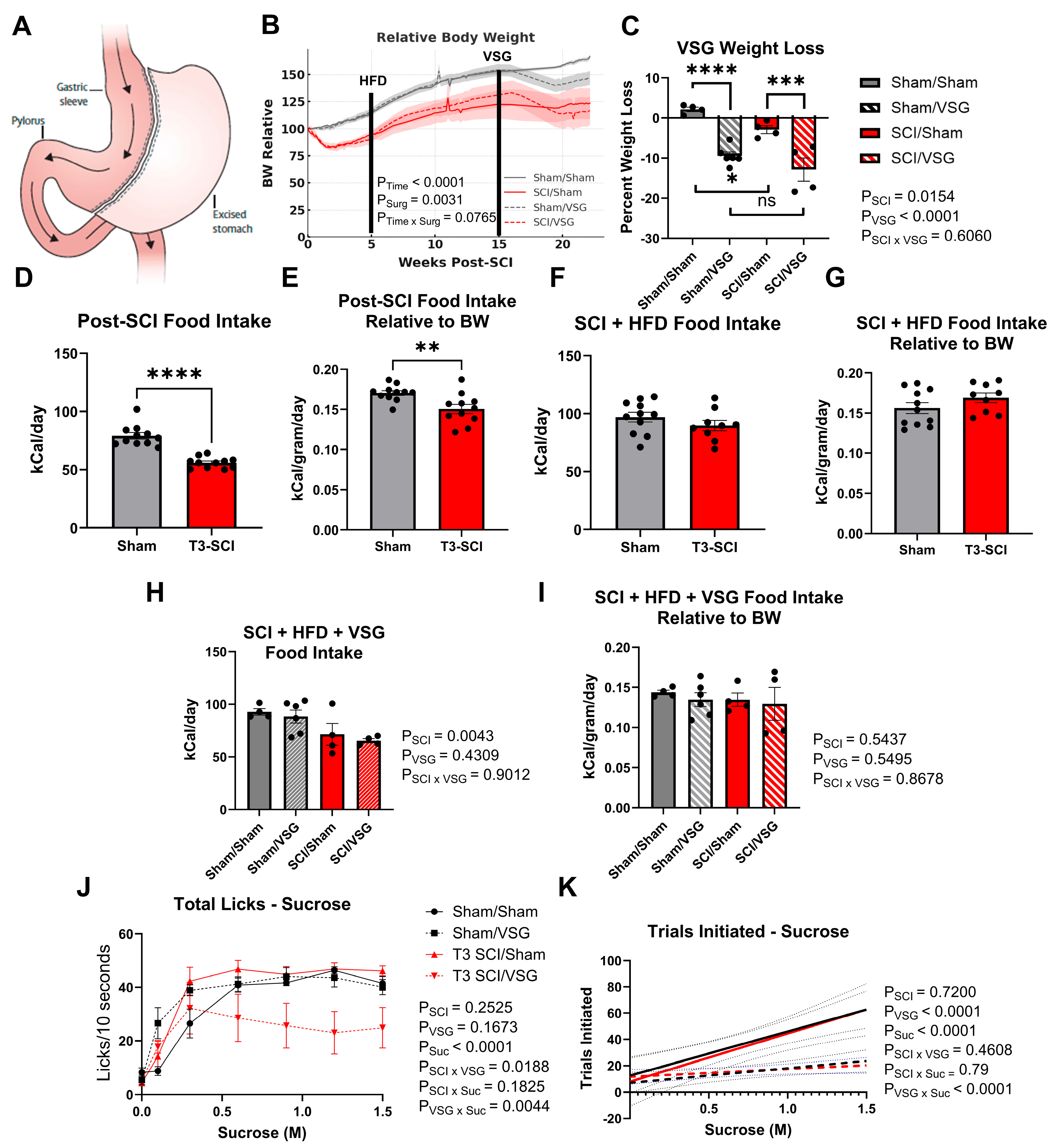 Nutrients 18 00503 g003