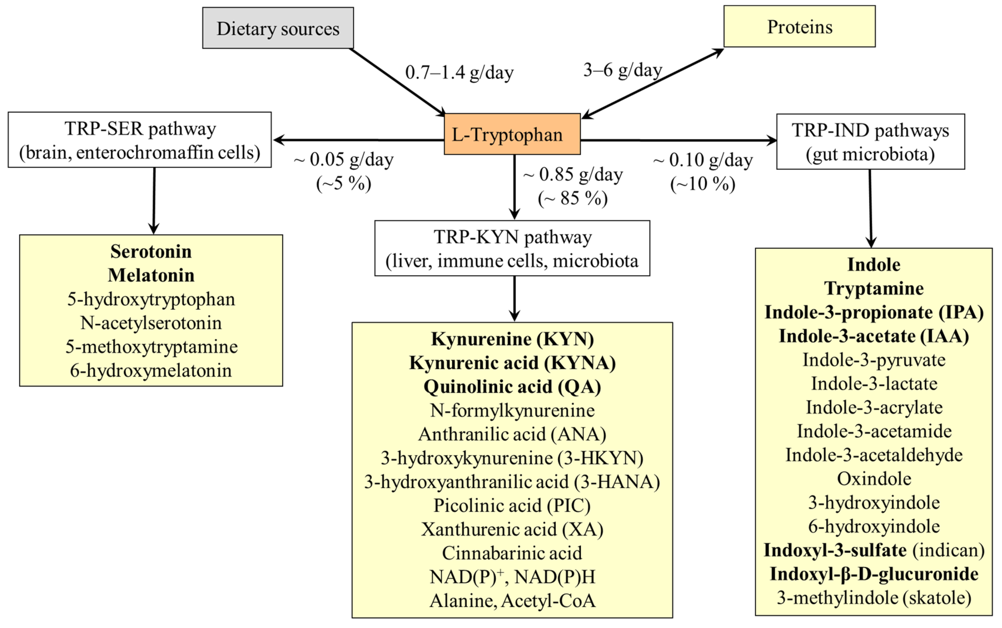 Nutrients 18 00507 g002