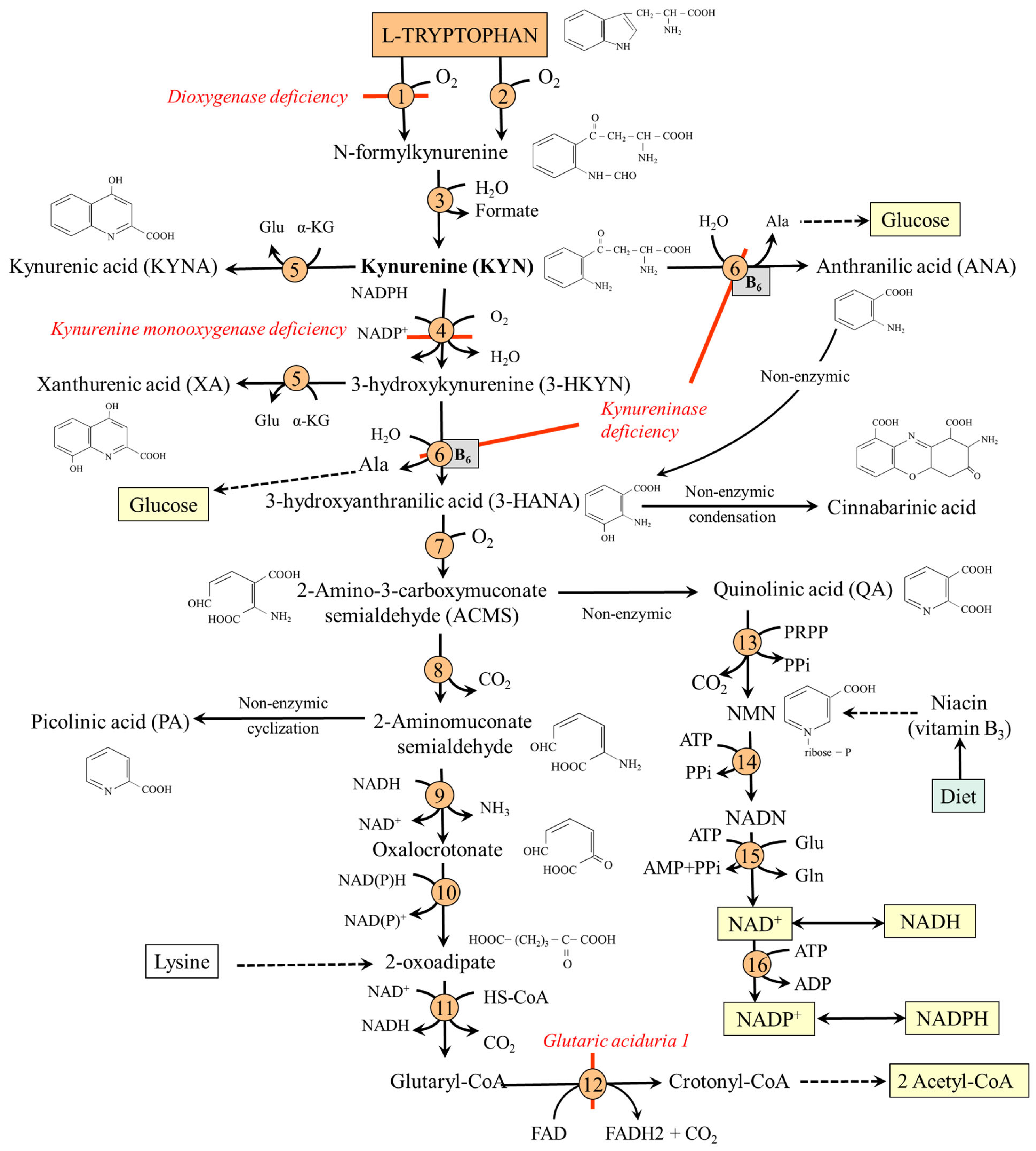 Nutrients 18 00507 g004