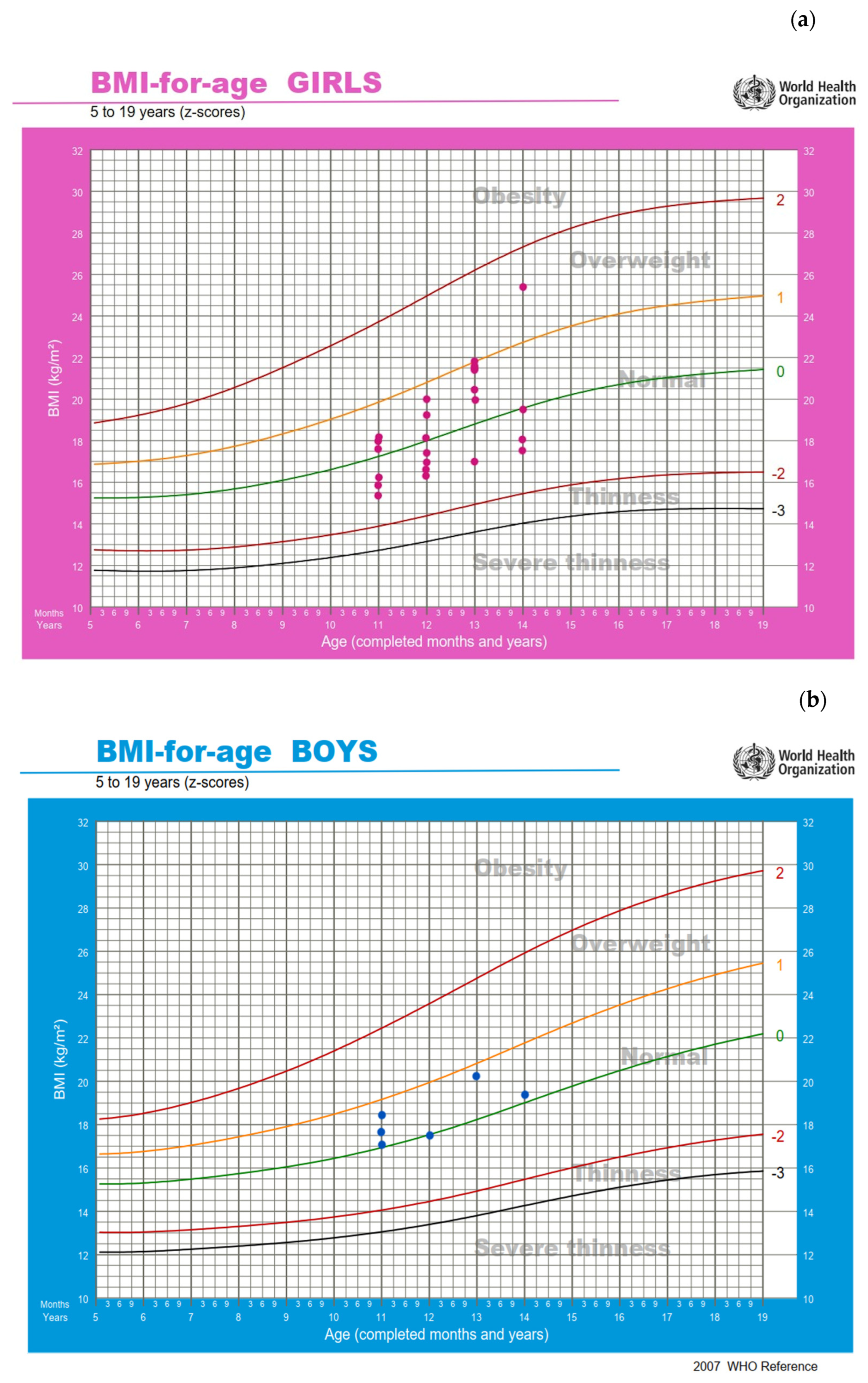 Nutrients 18 00519 g002