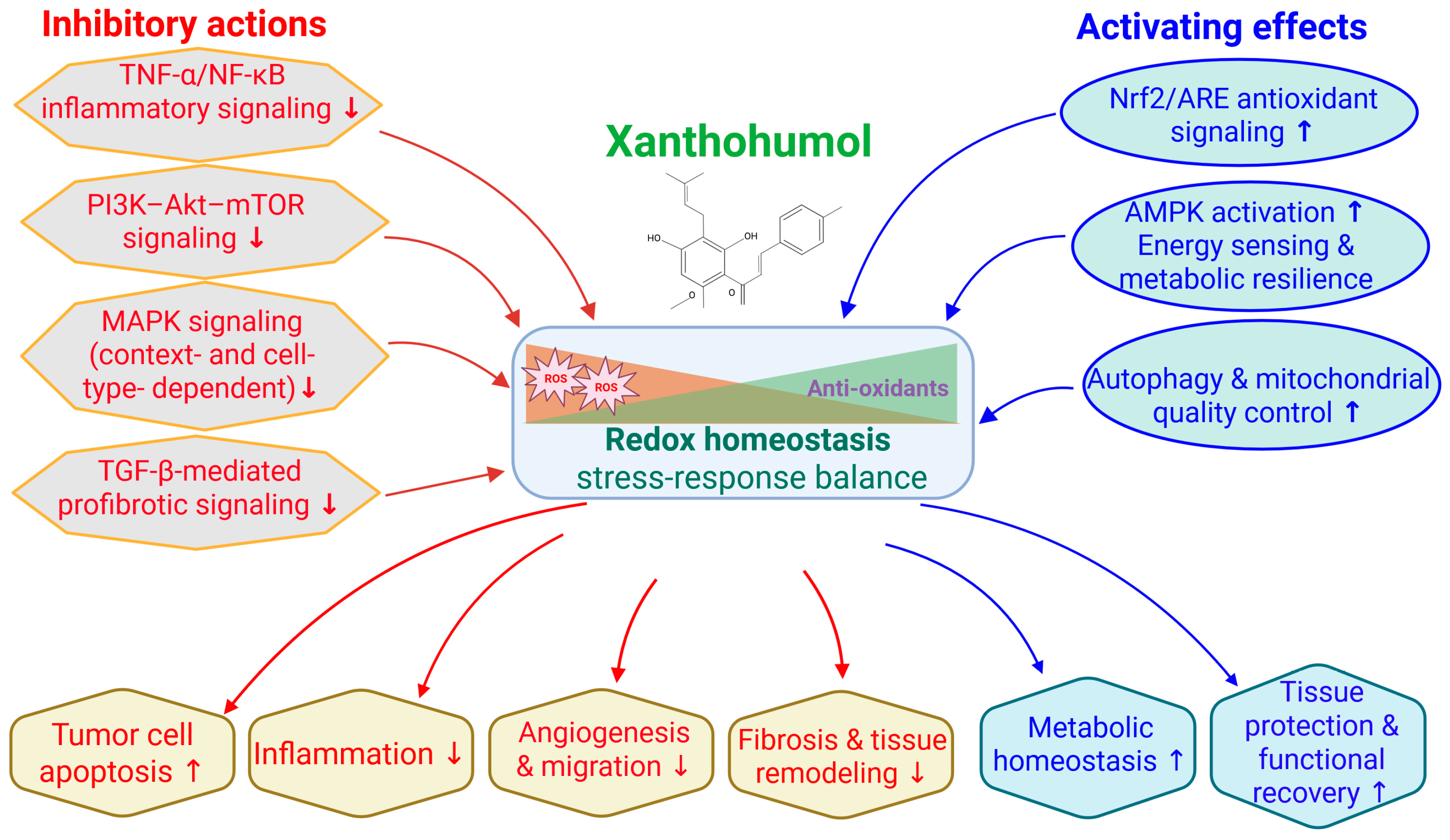 Nutrients 18 00520 g002
