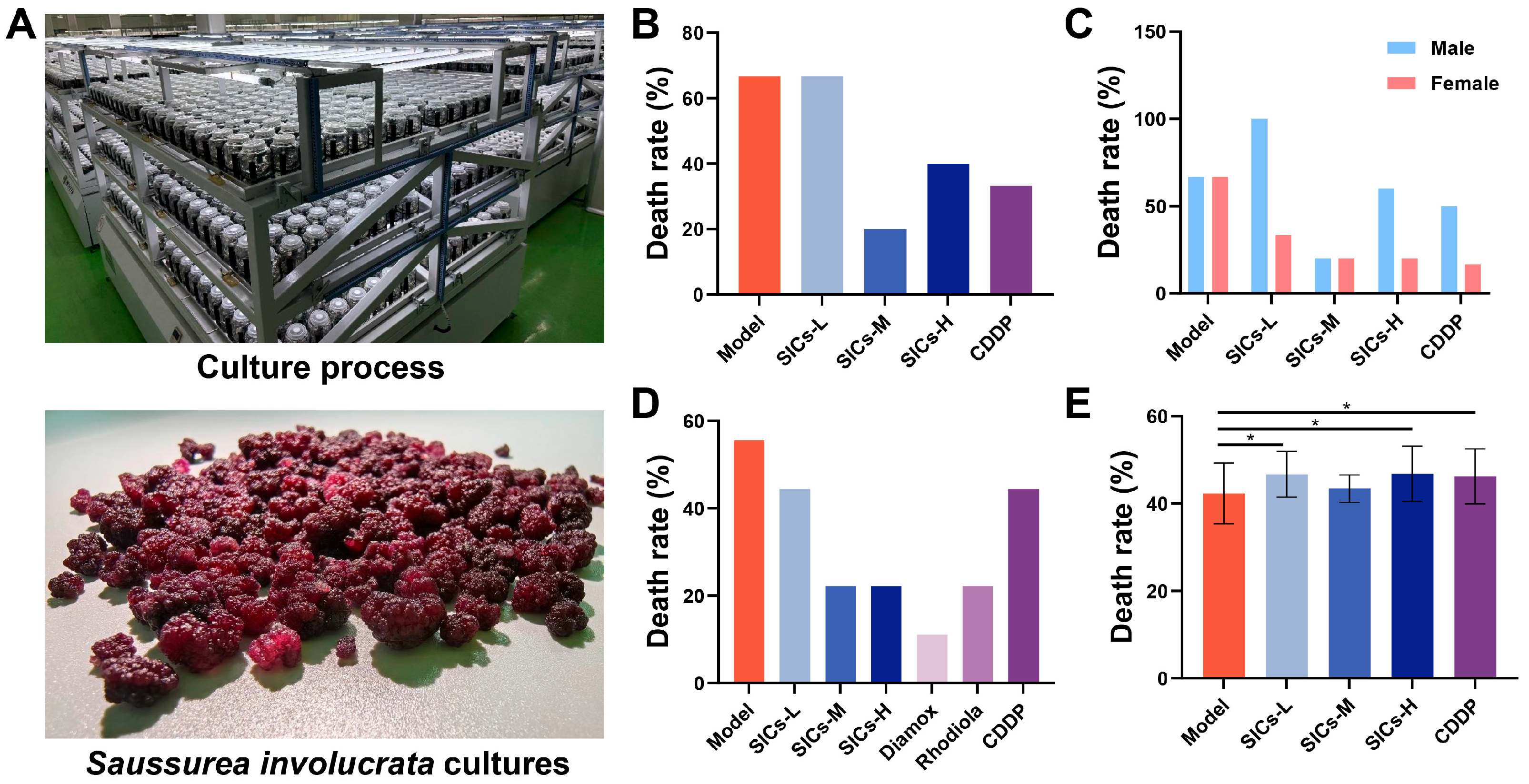 Nutrients 18 00556 g002 Nutrients 18 00556 g002