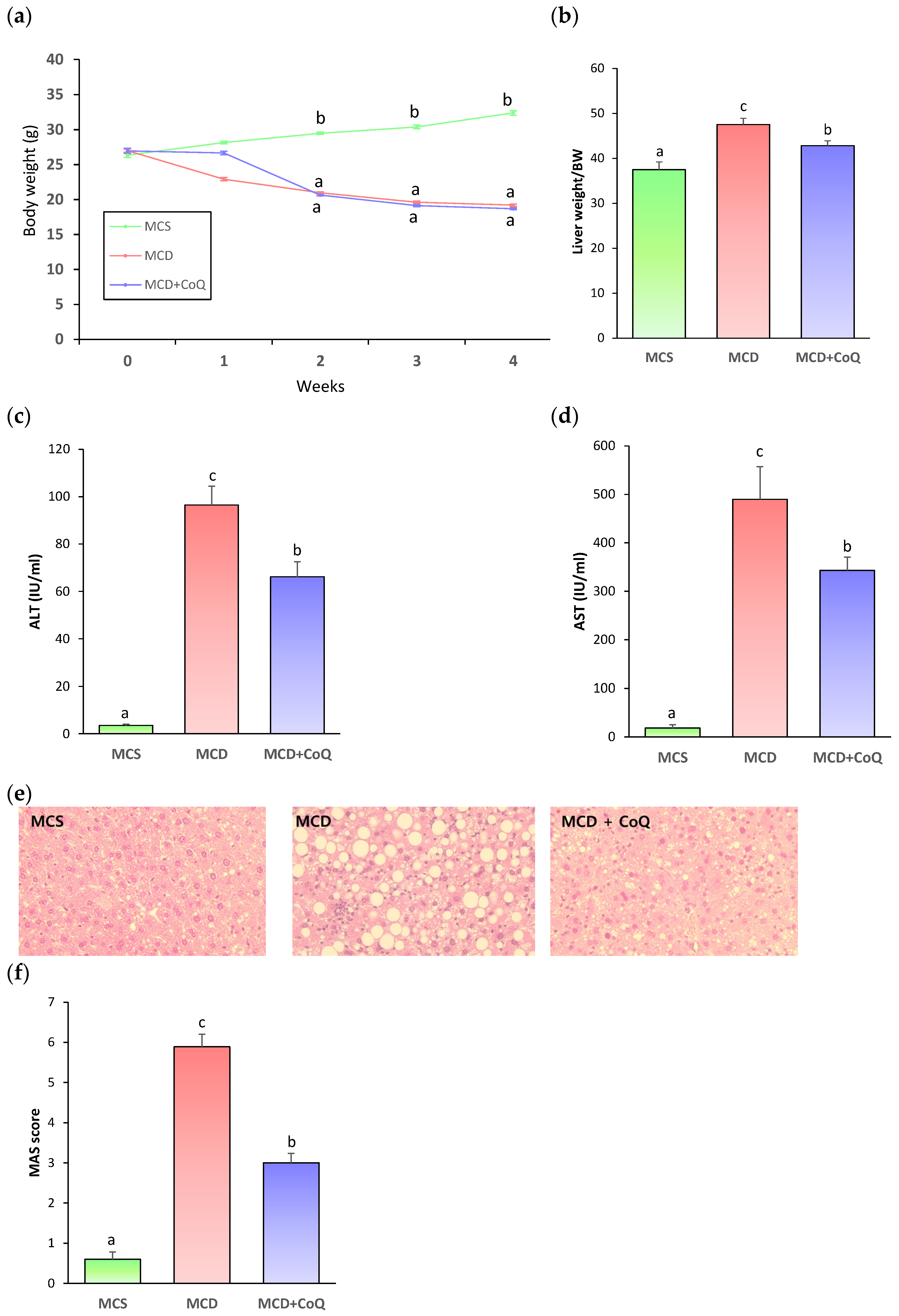Nutrients 18 00588 g001 Nutrients 18 00588 g001
