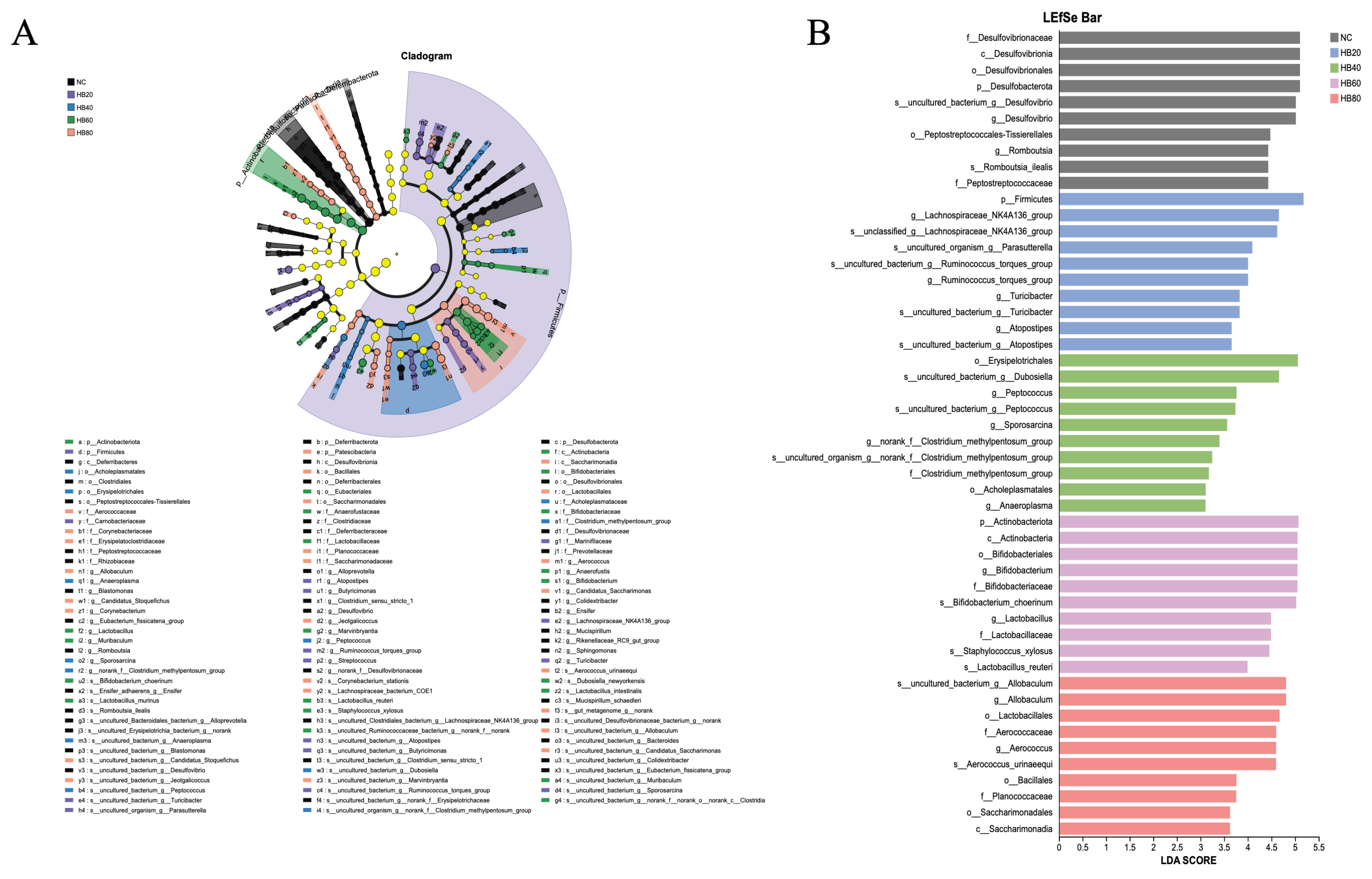 Nutrients 18 00659 g006