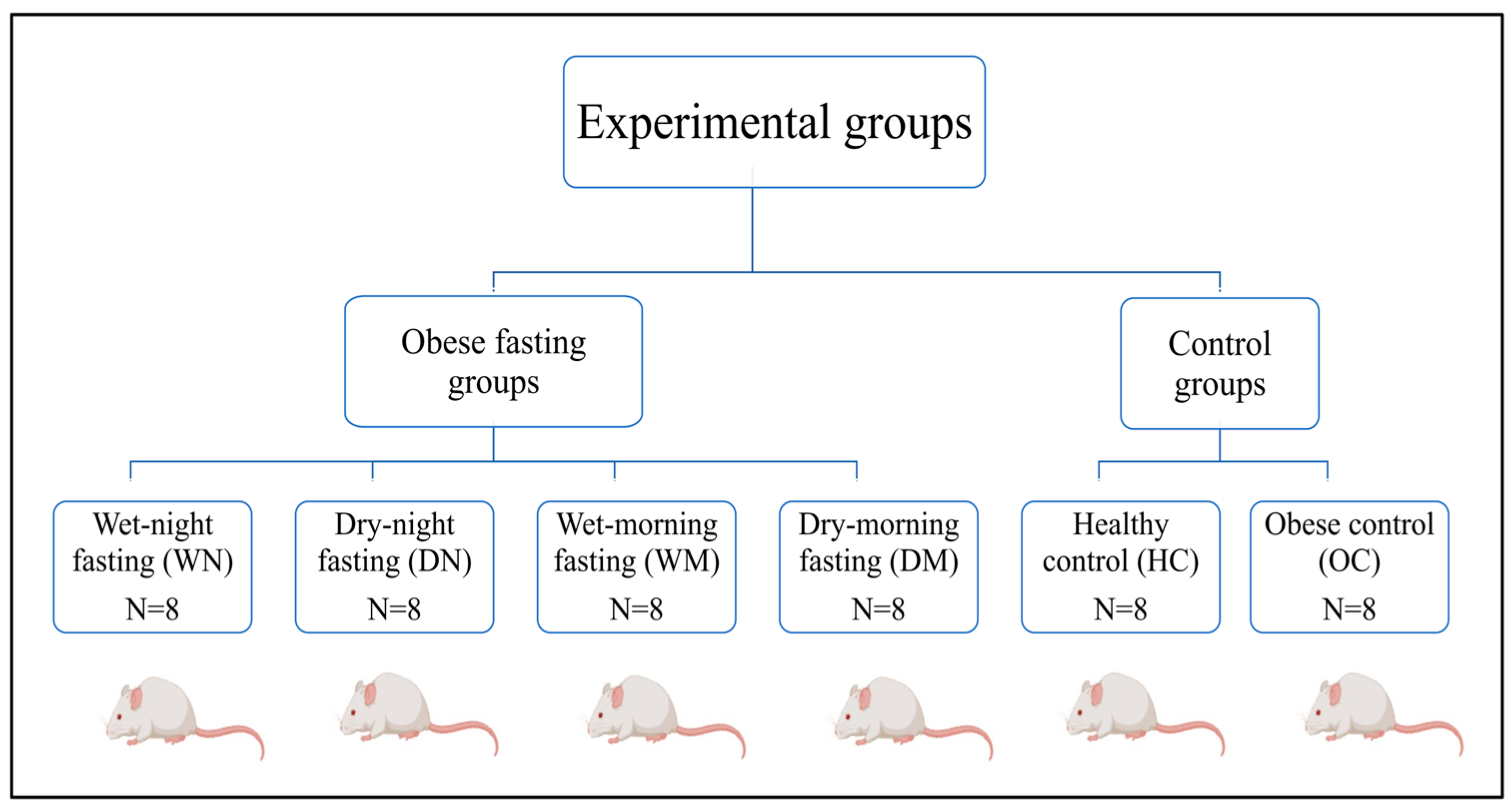 Nutrients 18 00663 g001