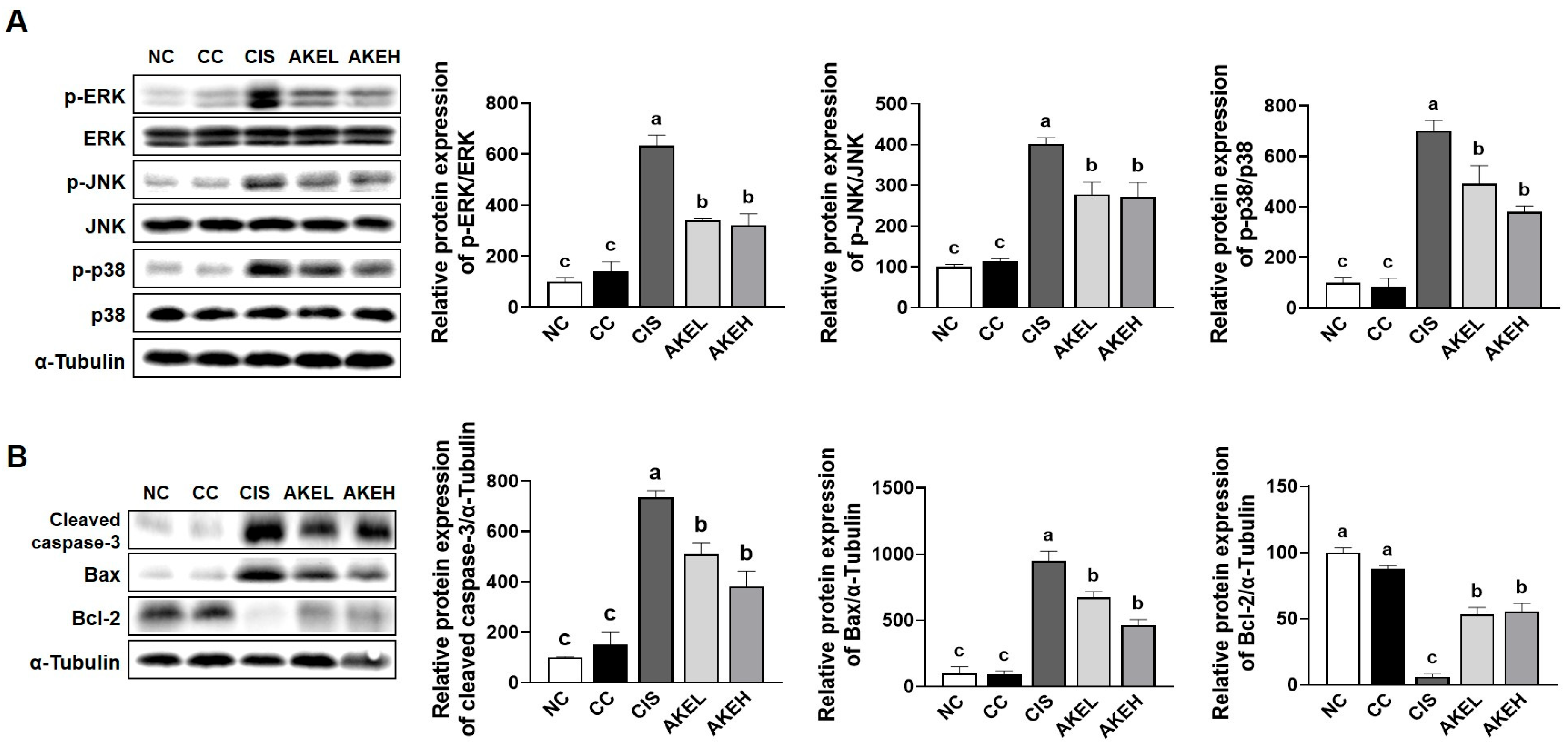 Nutrients 18 00665 g003