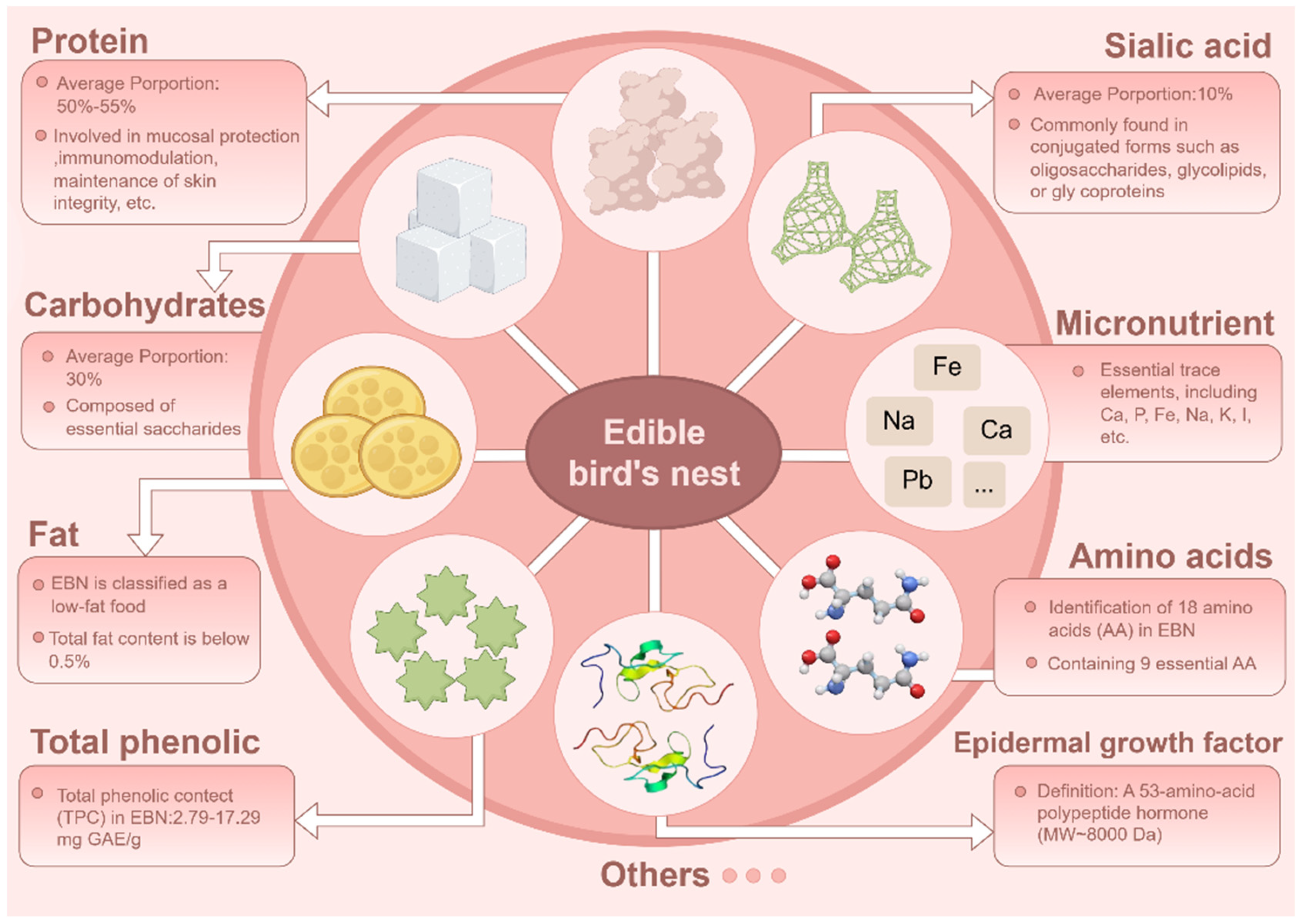 Nutrients 18 00671 g002