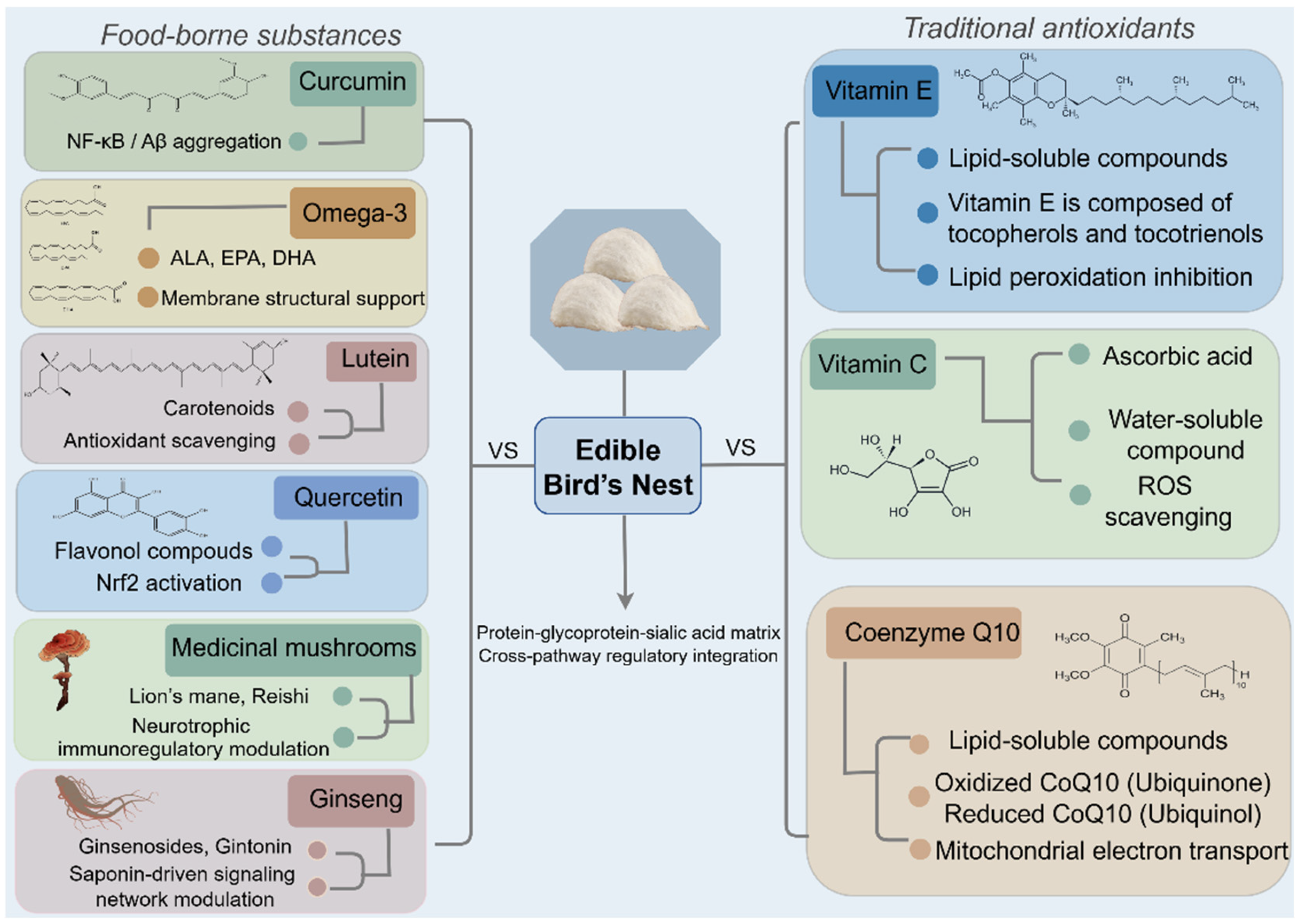 Nutrients 18 00671 g005