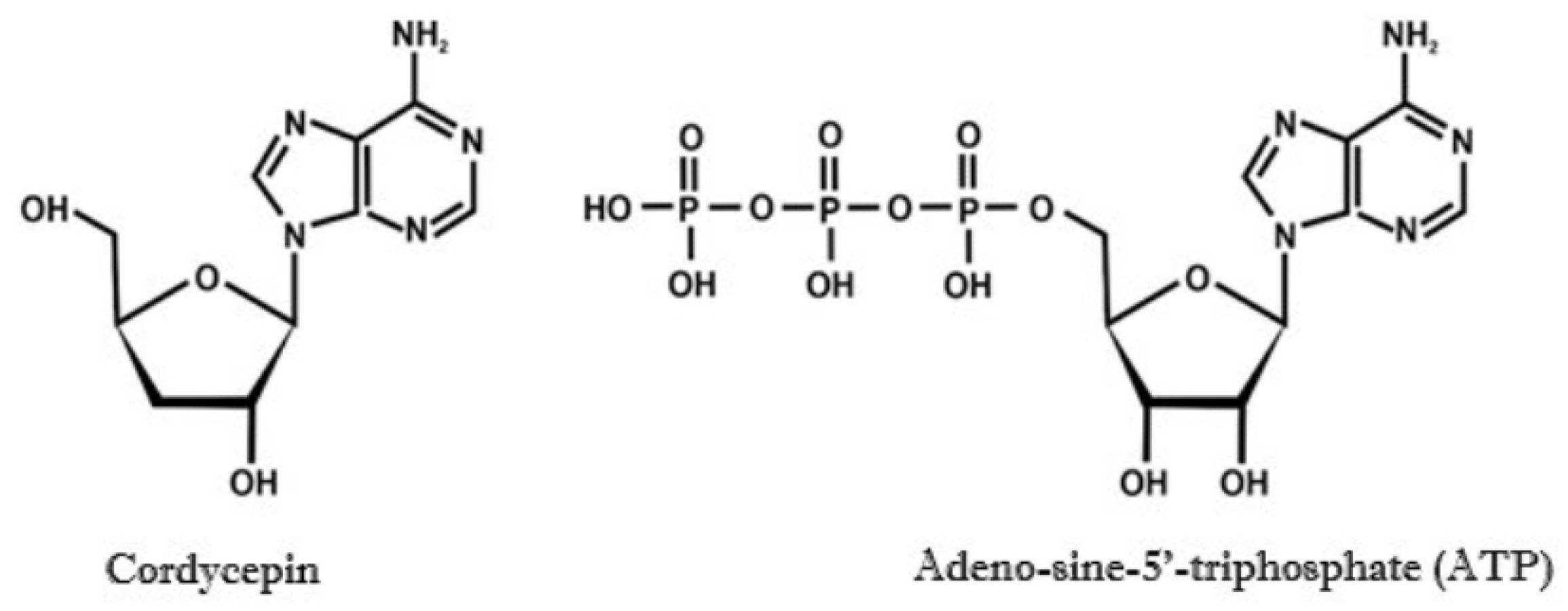 Nutrients 18 00781 g004 Nutrients 18 00781 g004