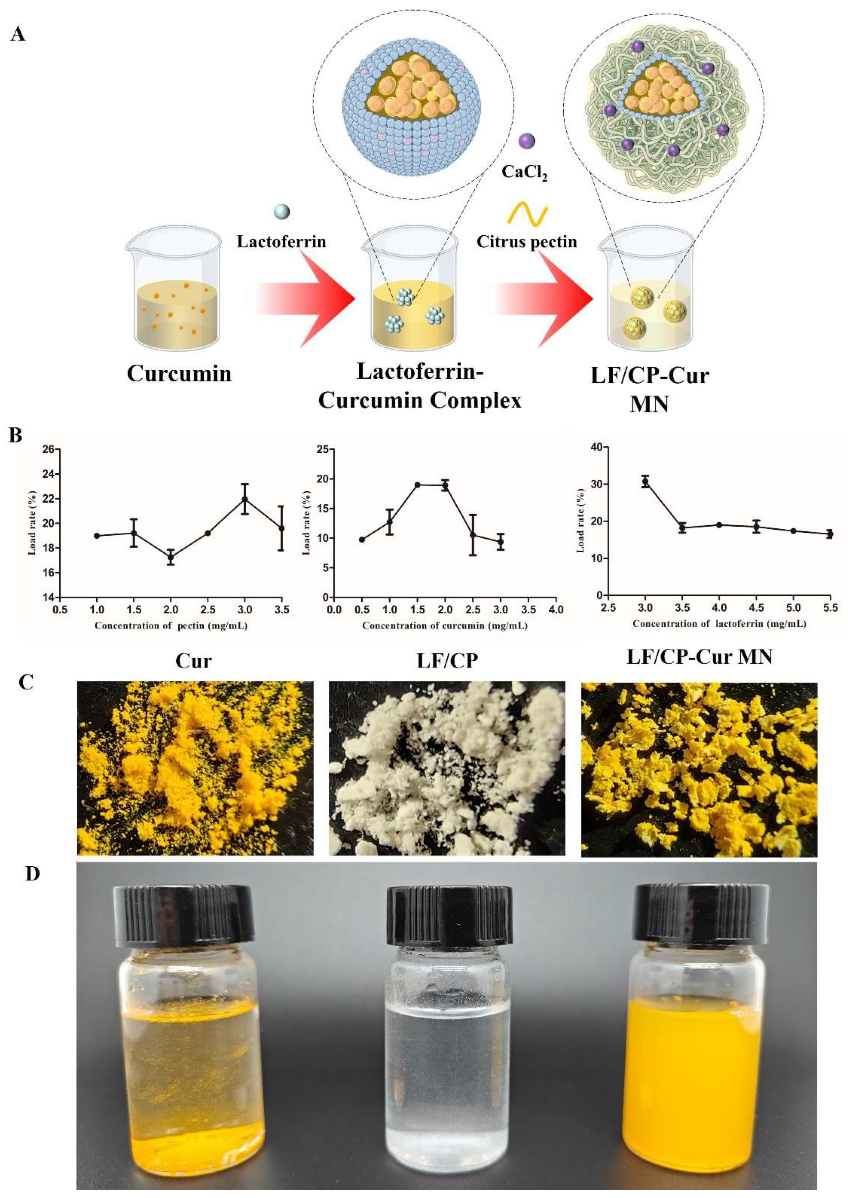 Nutrients 18 00921 g001 Nutrients 18 00921 g001