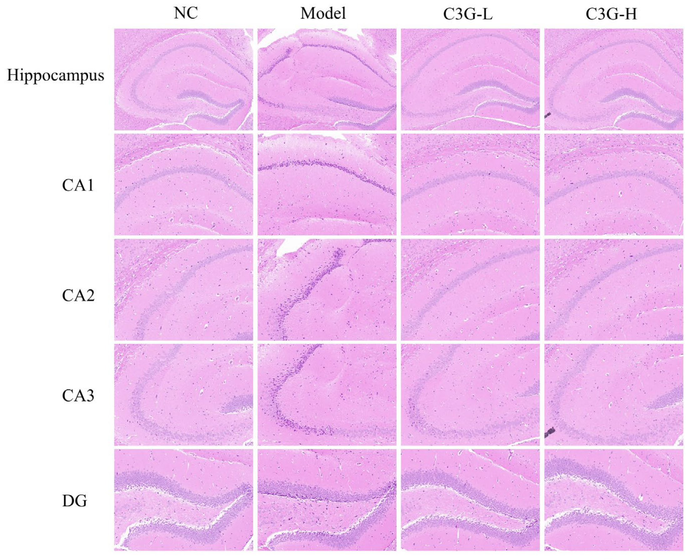 Nutrients 18 00992 g002