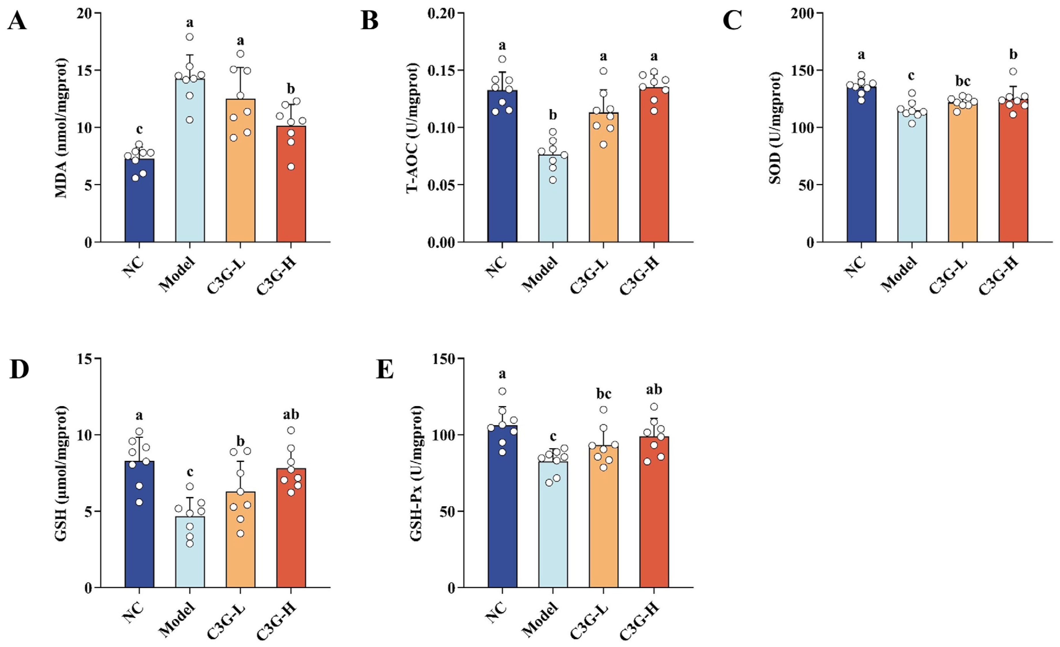 Nutrients 18 00992 g004