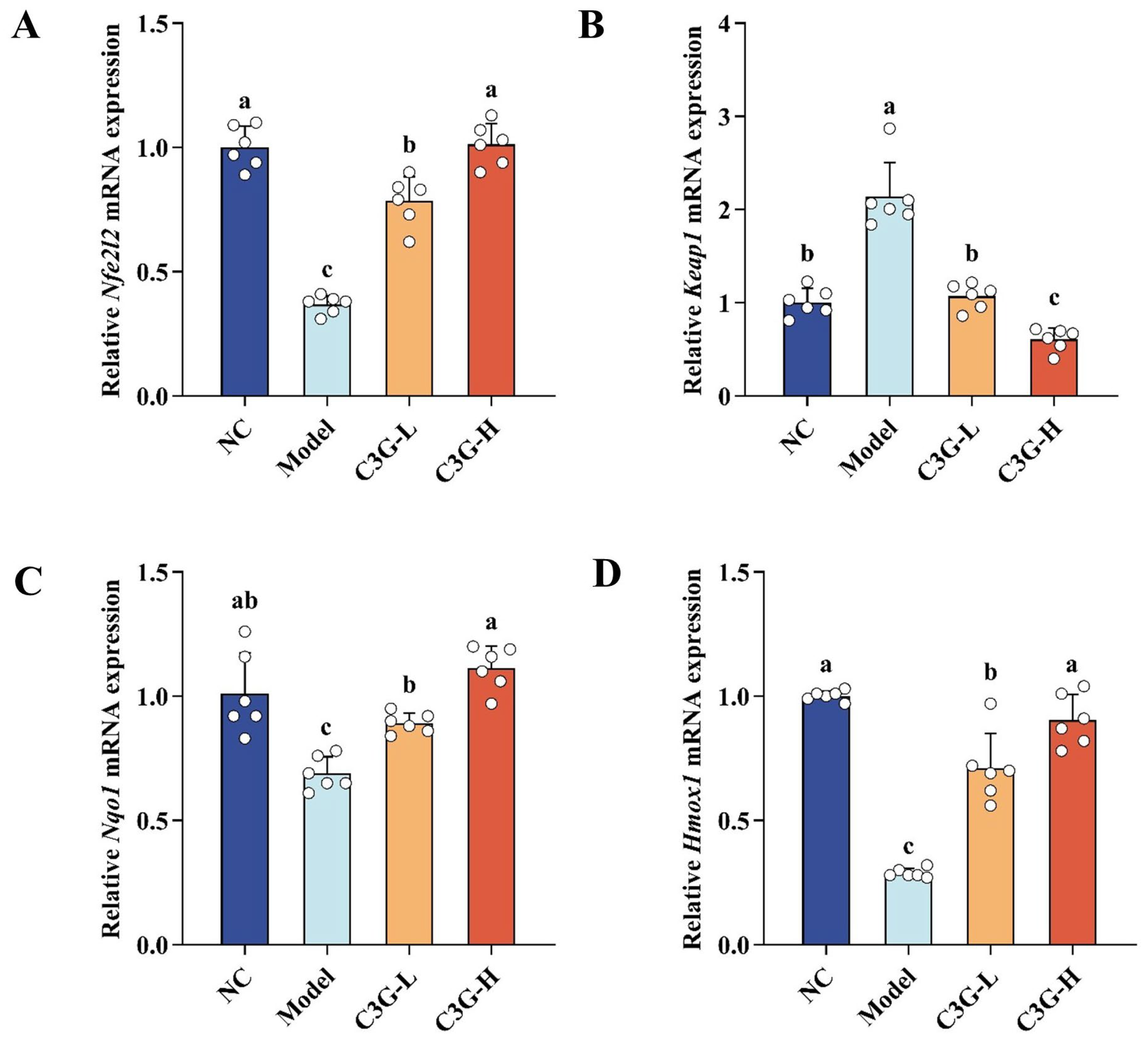 Nutrients 18 00992 g006