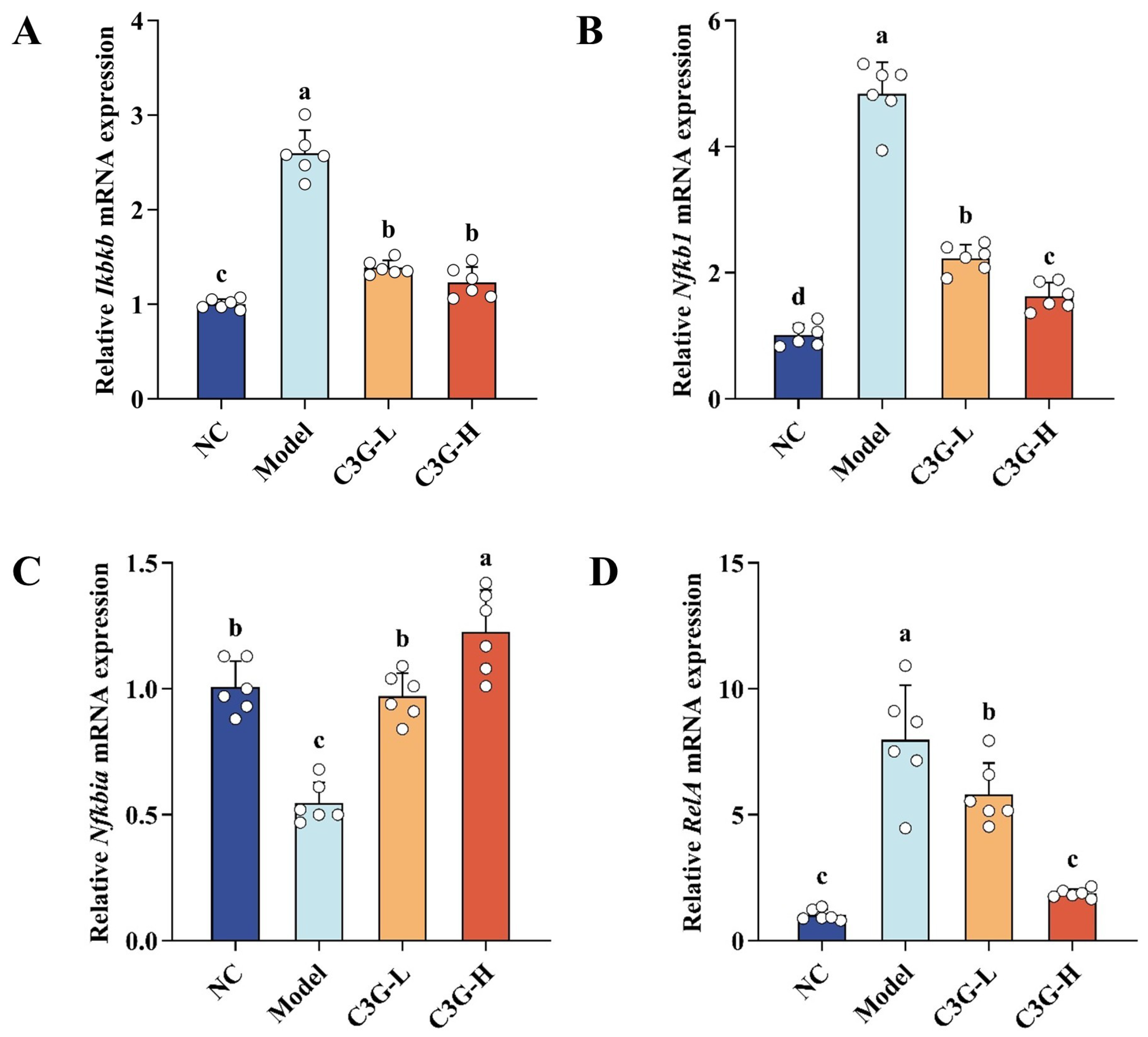 Nutrients 18 00992 g007
