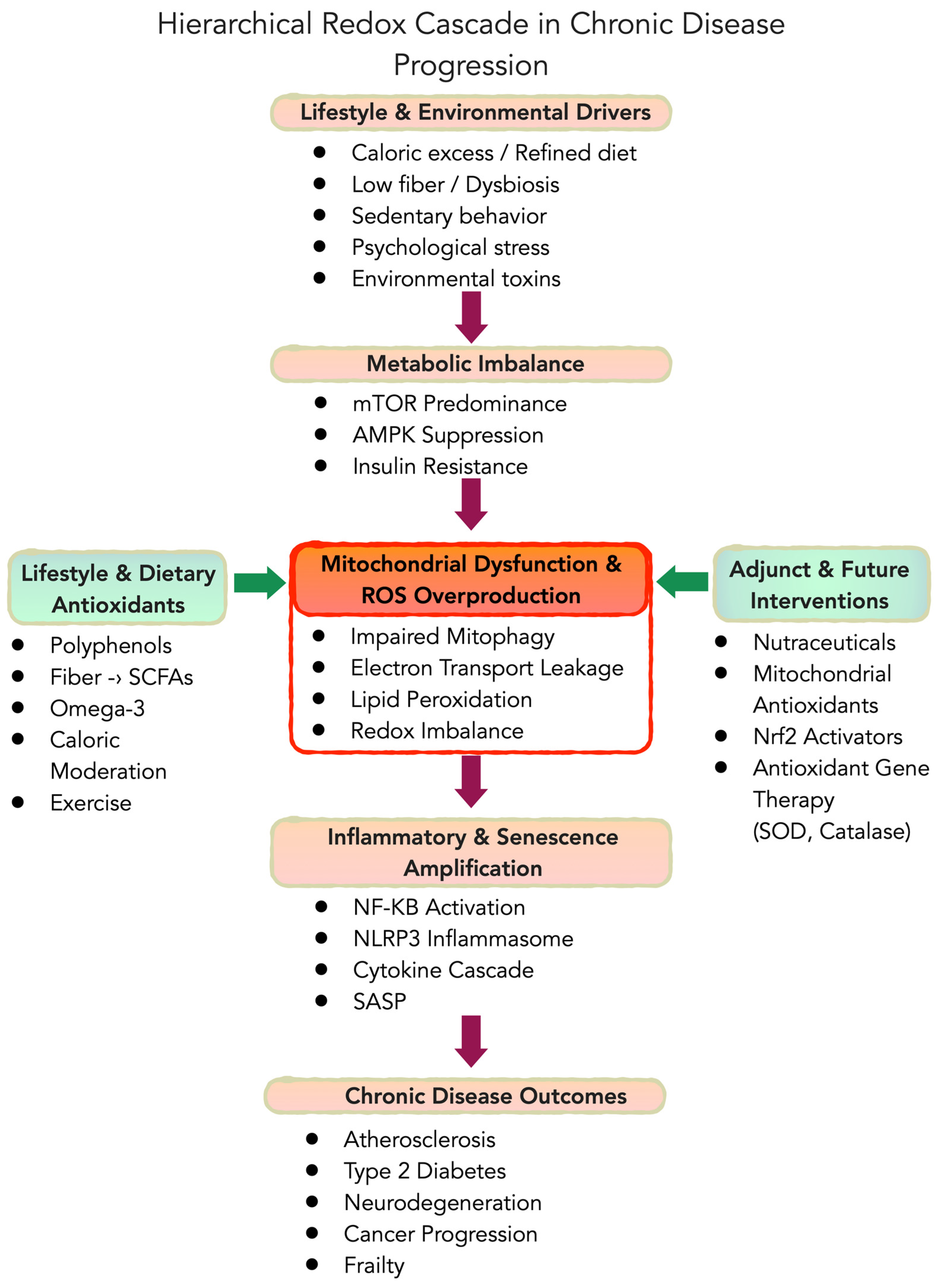 Nutrients 18 01007 g001