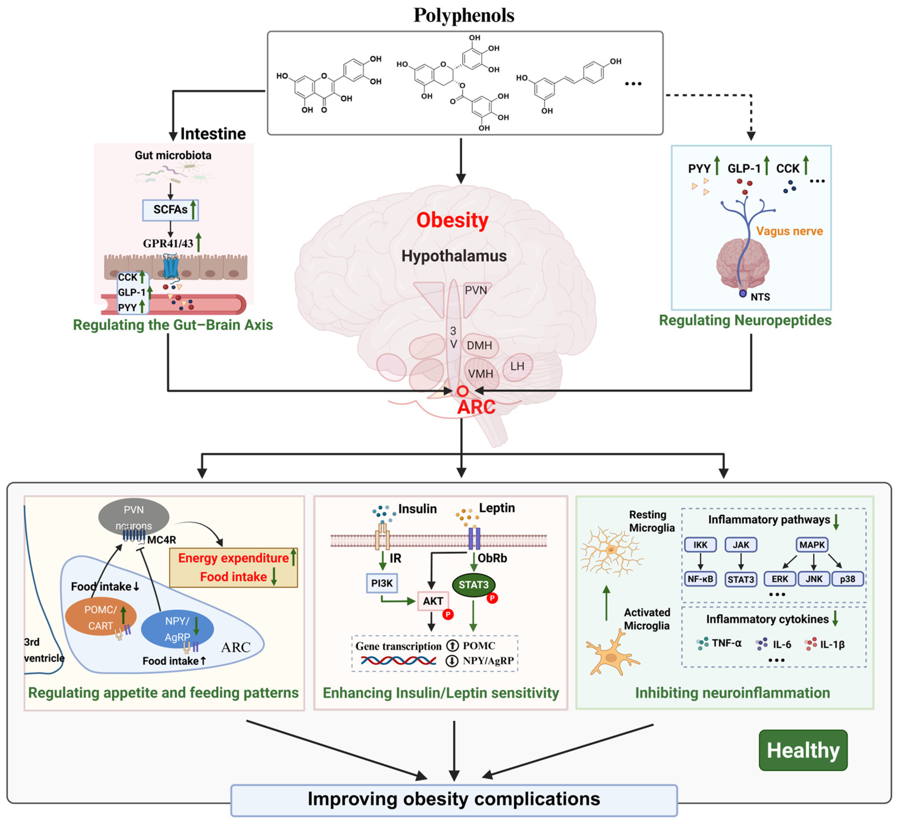 Nutrients 18 01075 g003