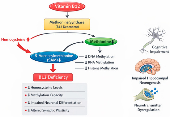 substitute for bac water Bacteriostatic water for injection