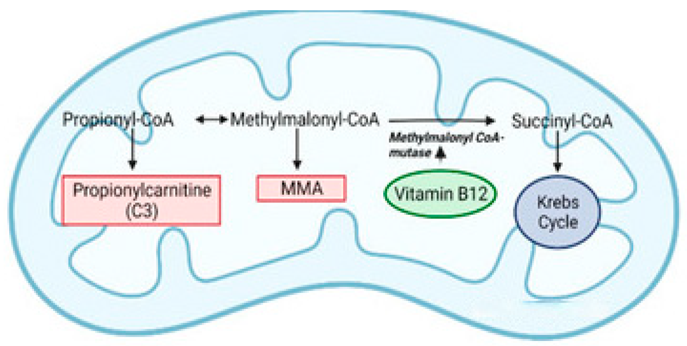 Nutrients 18 01098 g004